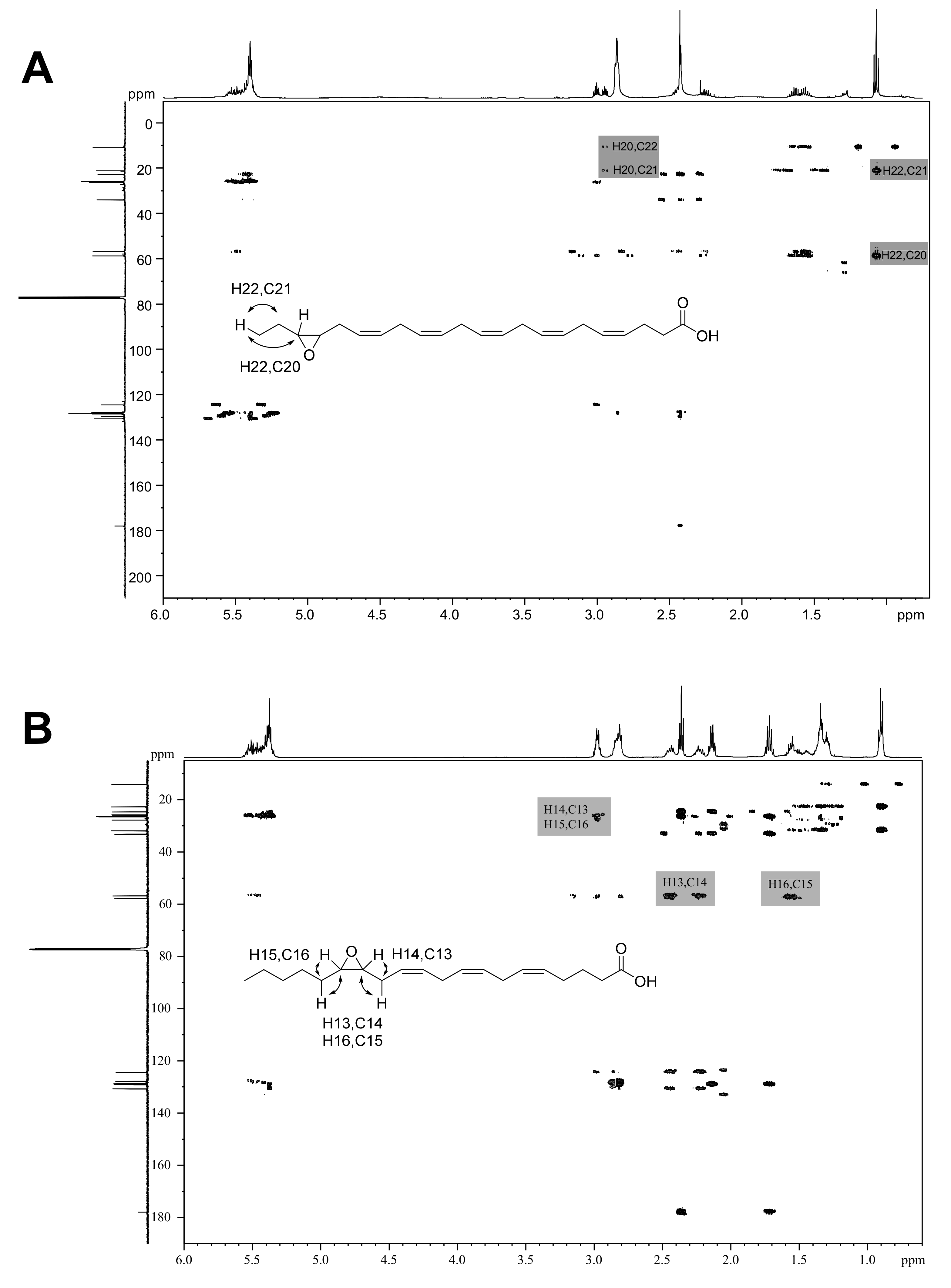Antioxidants 10 01888 g006