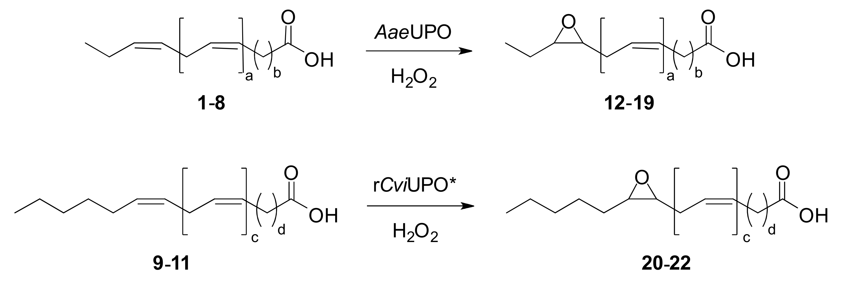 Antioxidants 10 01888 sch001