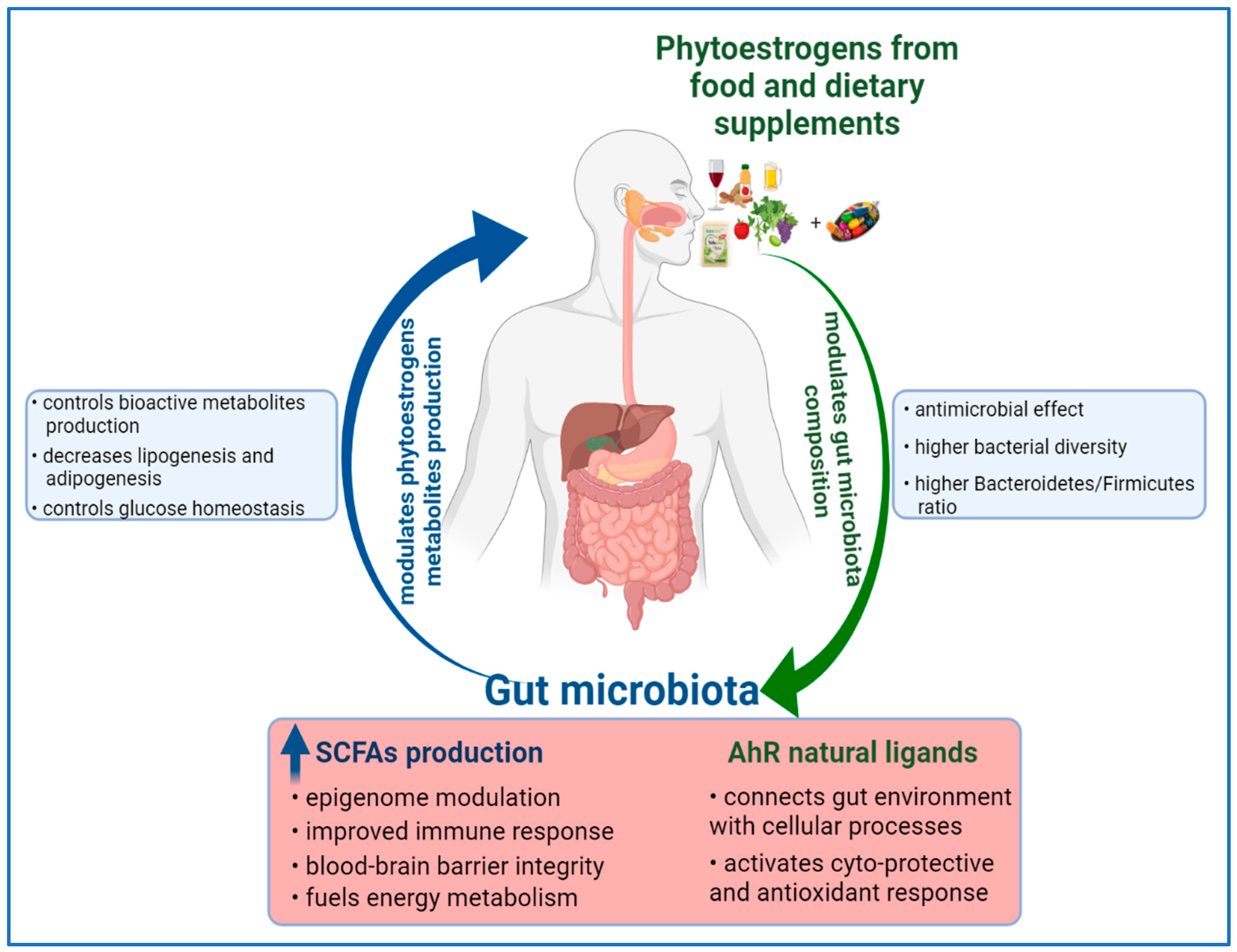 Antioxidants 10 01893 g002