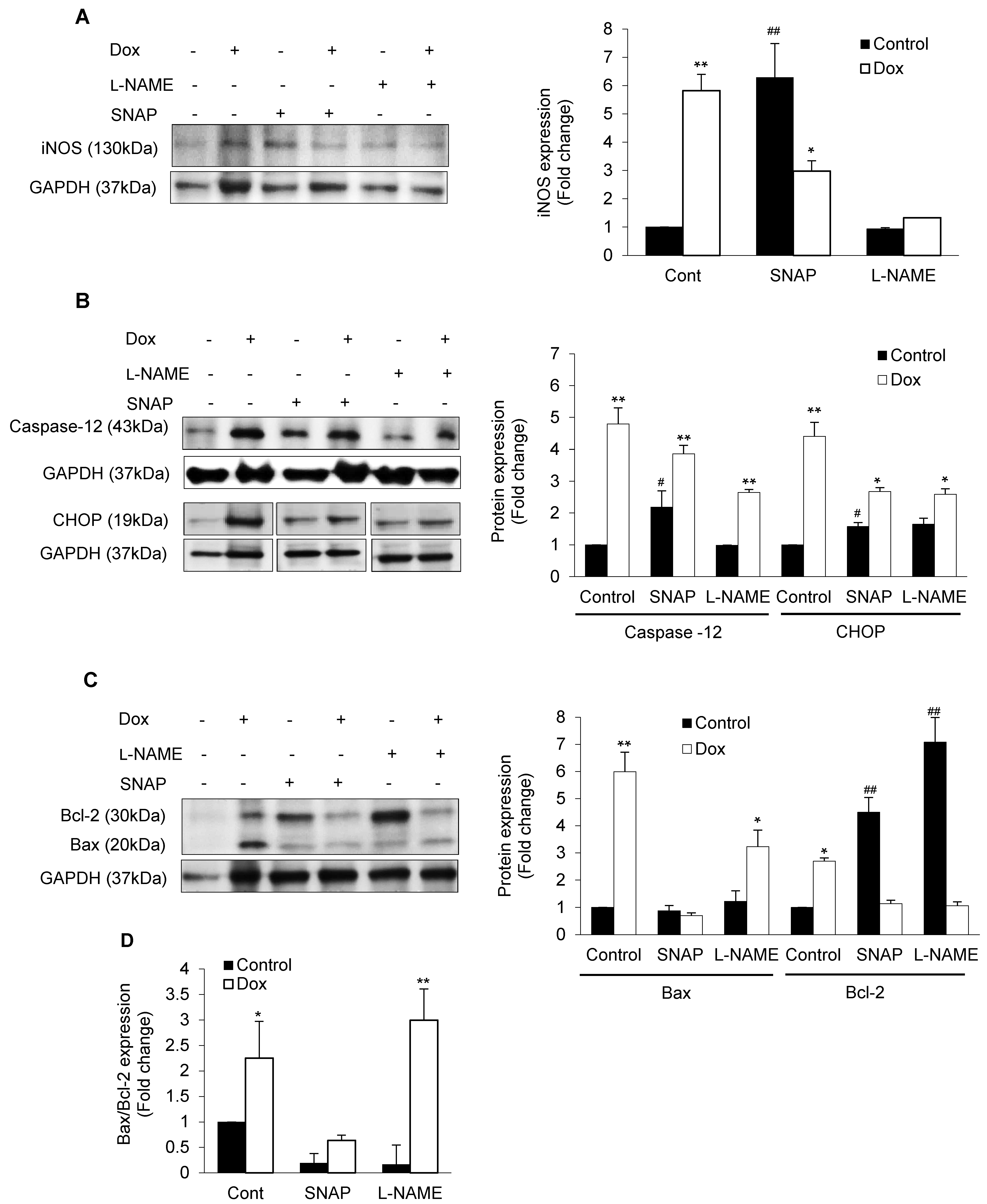 Antioxidants 10 01897 g004