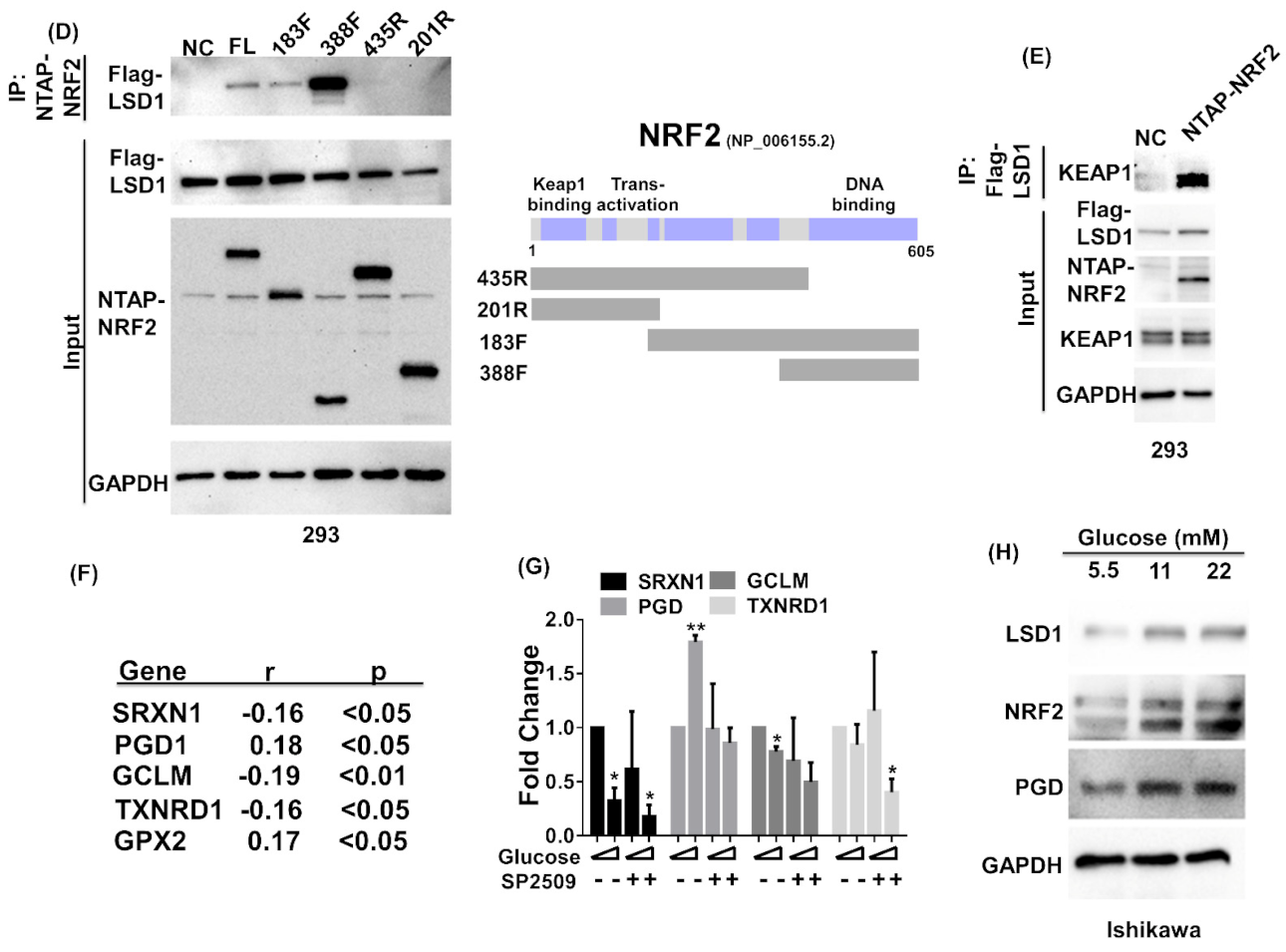 Antioxidants 10 01898 g004b Antioxidants 10 01898 g004b