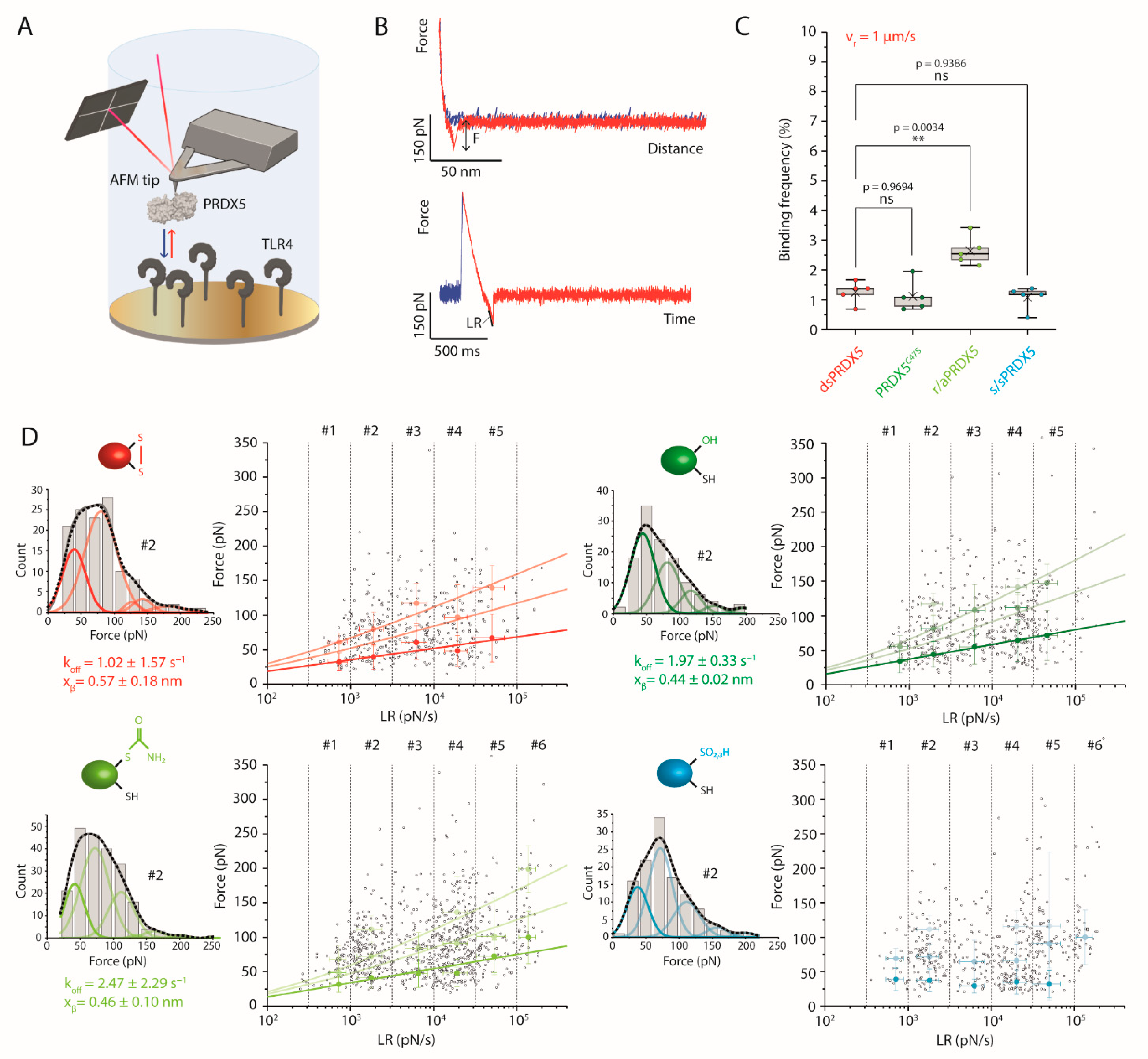 Antioxidants 10 01902 g004 550