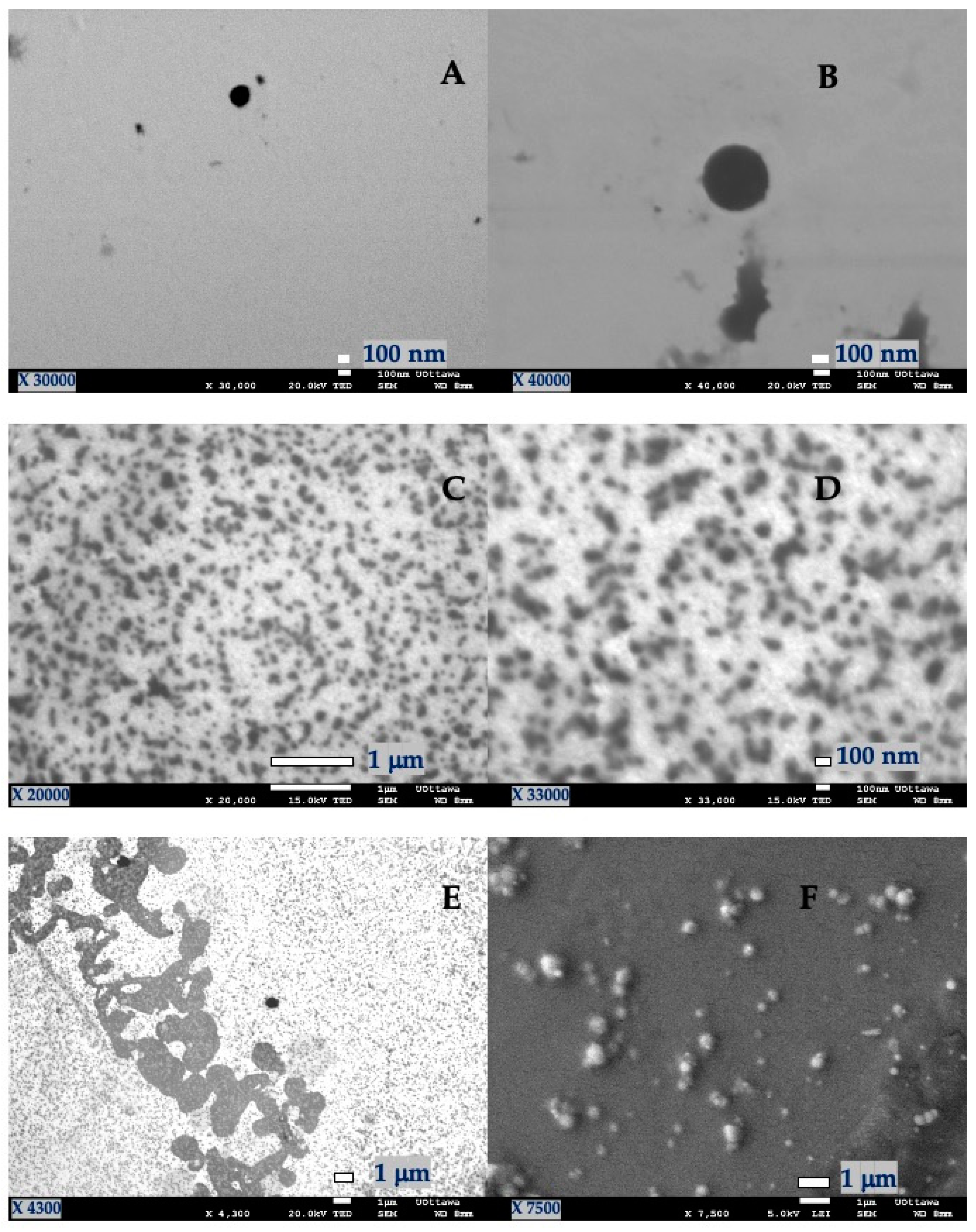 Antioxidants 10 01904 g001