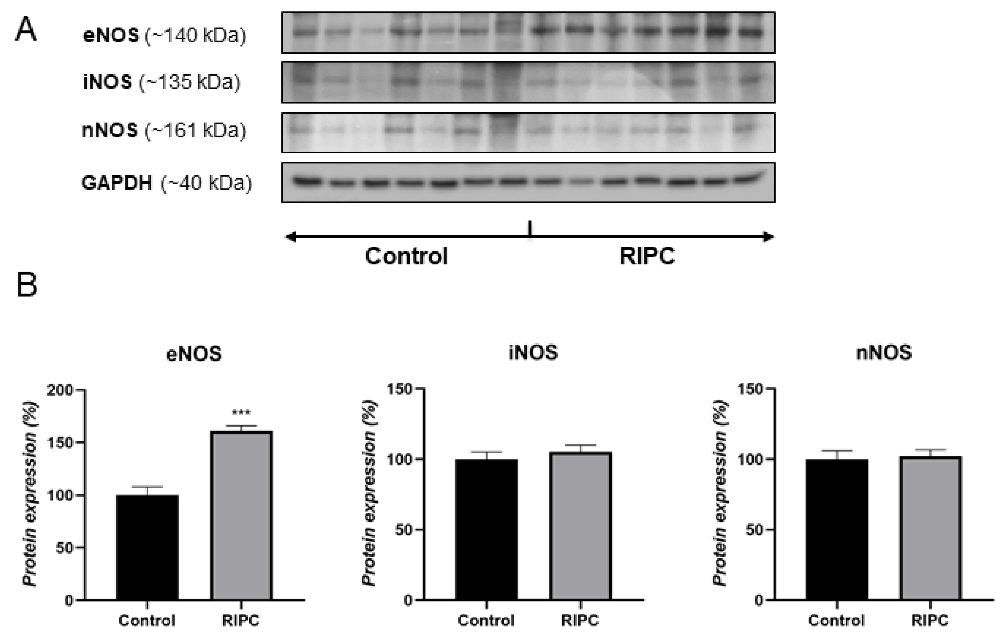 Antioxidants 10 01910 g001 550