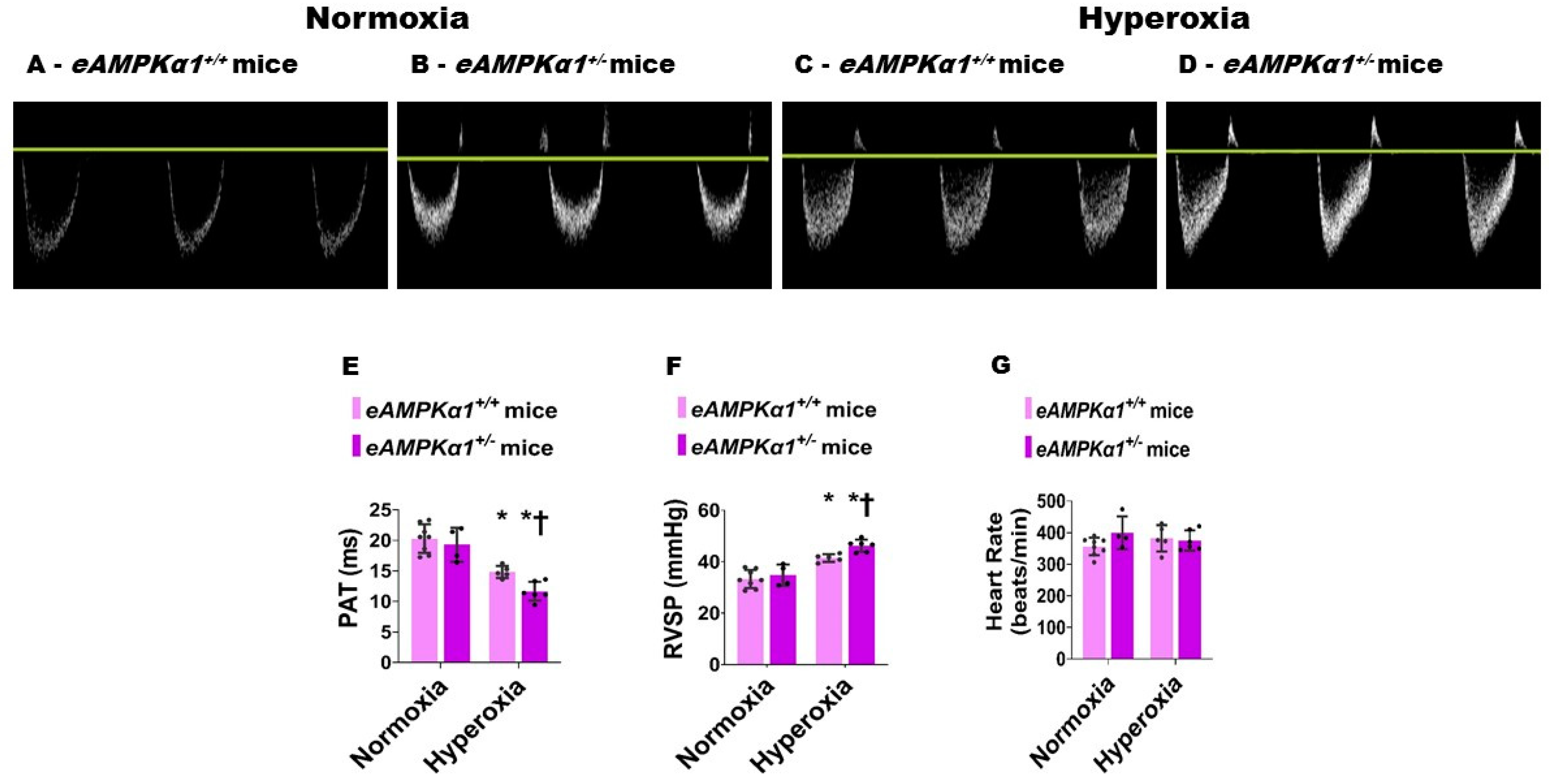 Antioxidants 10 01913 g005 Antioxidants 10 01913 g005