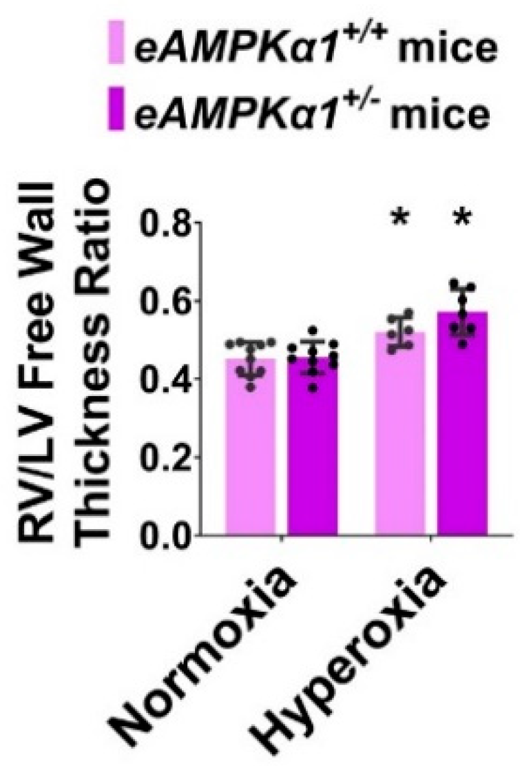 Antioxidants 10 01913 g006 Antioxidants 10 01913 g006