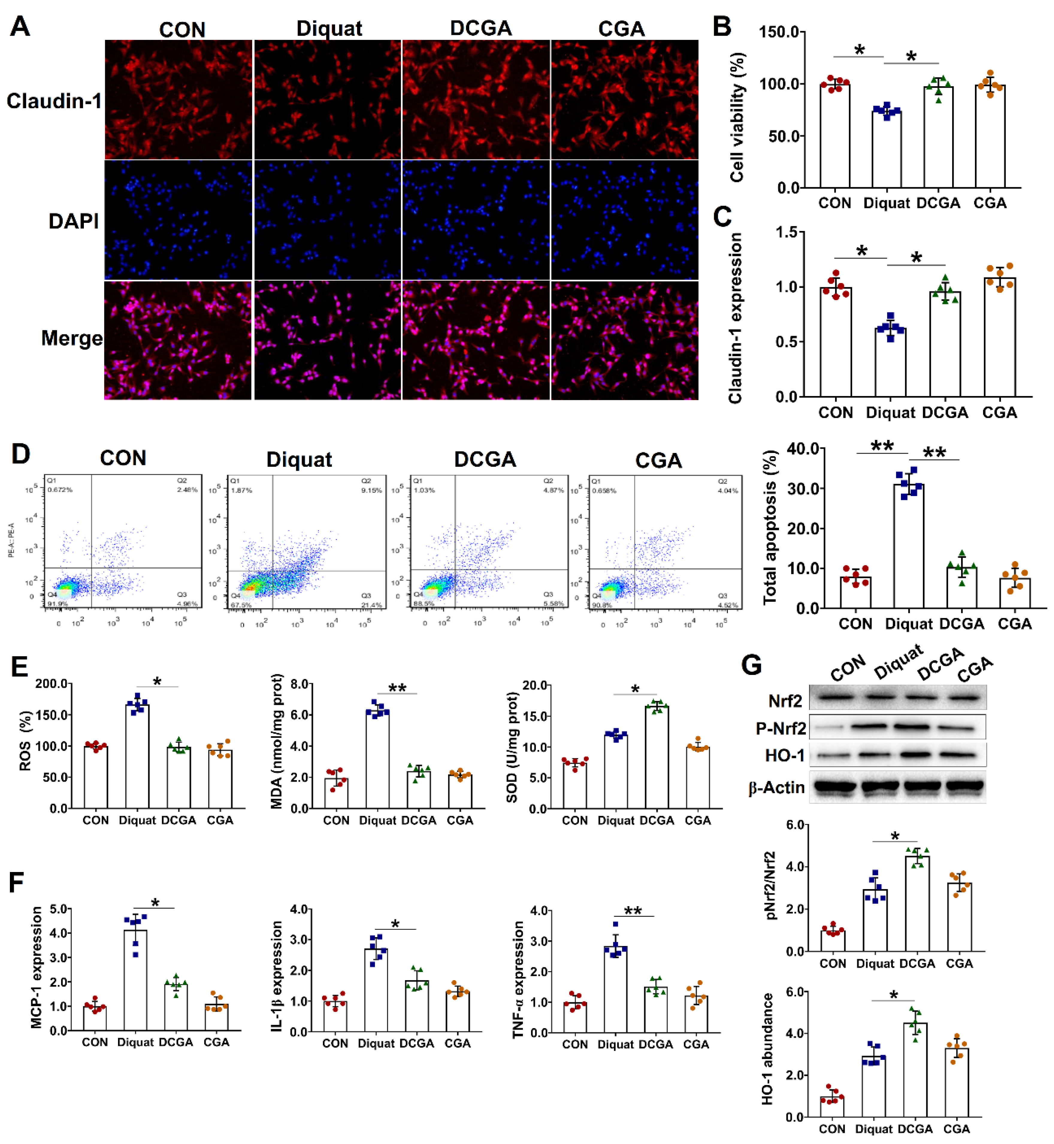 Antioxidants 10 01915 g002