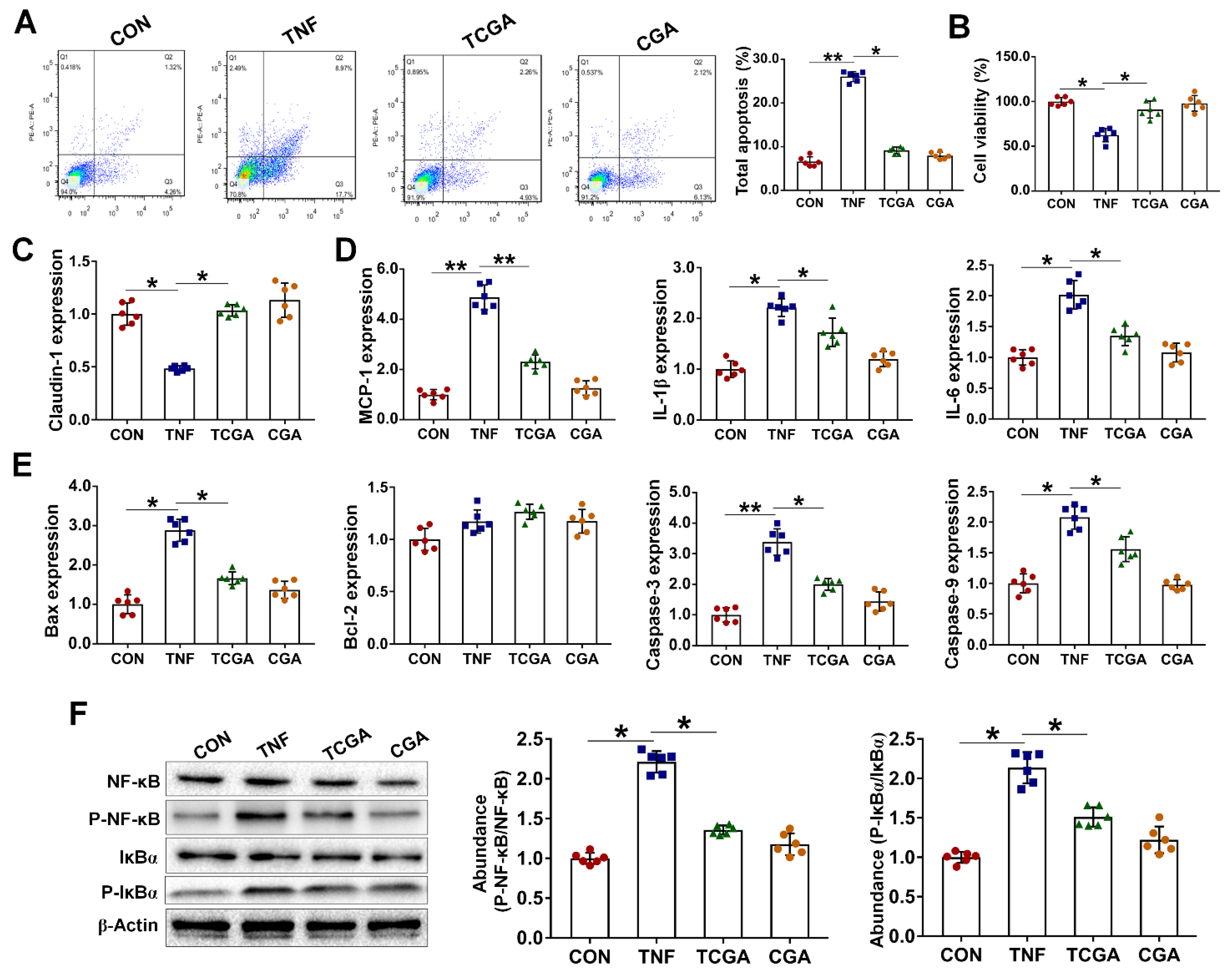 Antioxidants 10 01915 g005