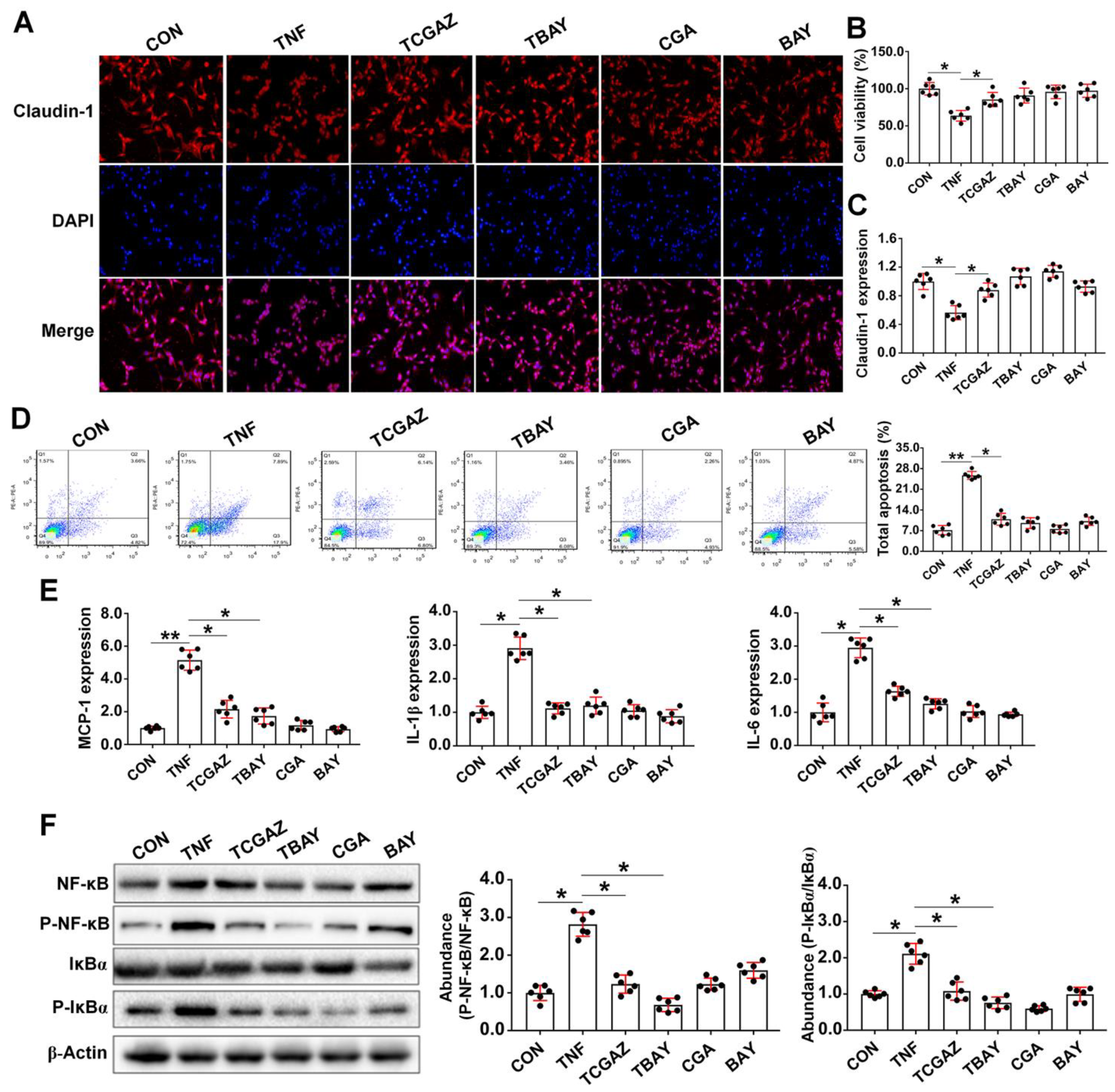 Antioxidants 10 01915 g006