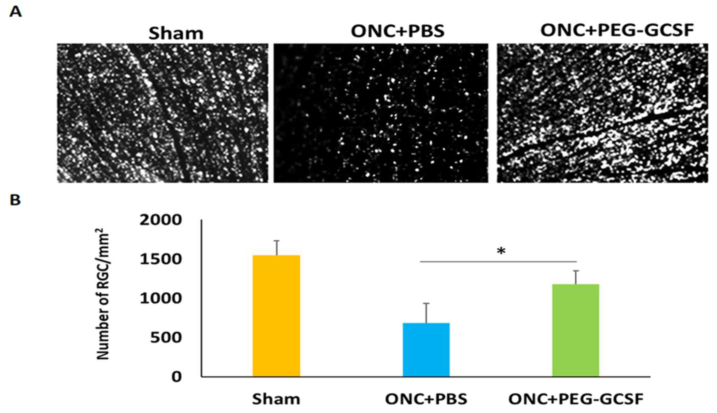 Antioxidants 10 01934 g005