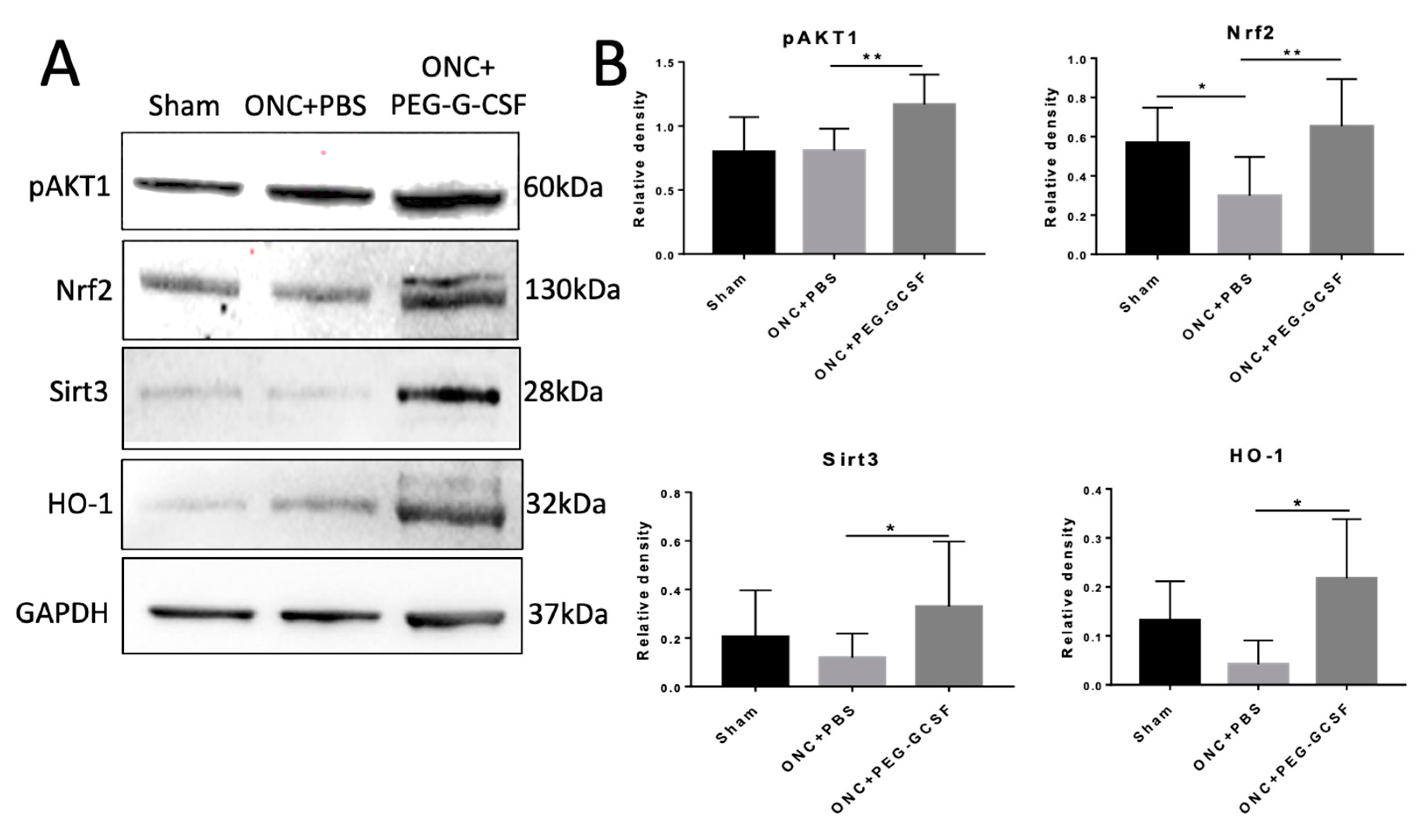 Antioxidants 10 01934 g008