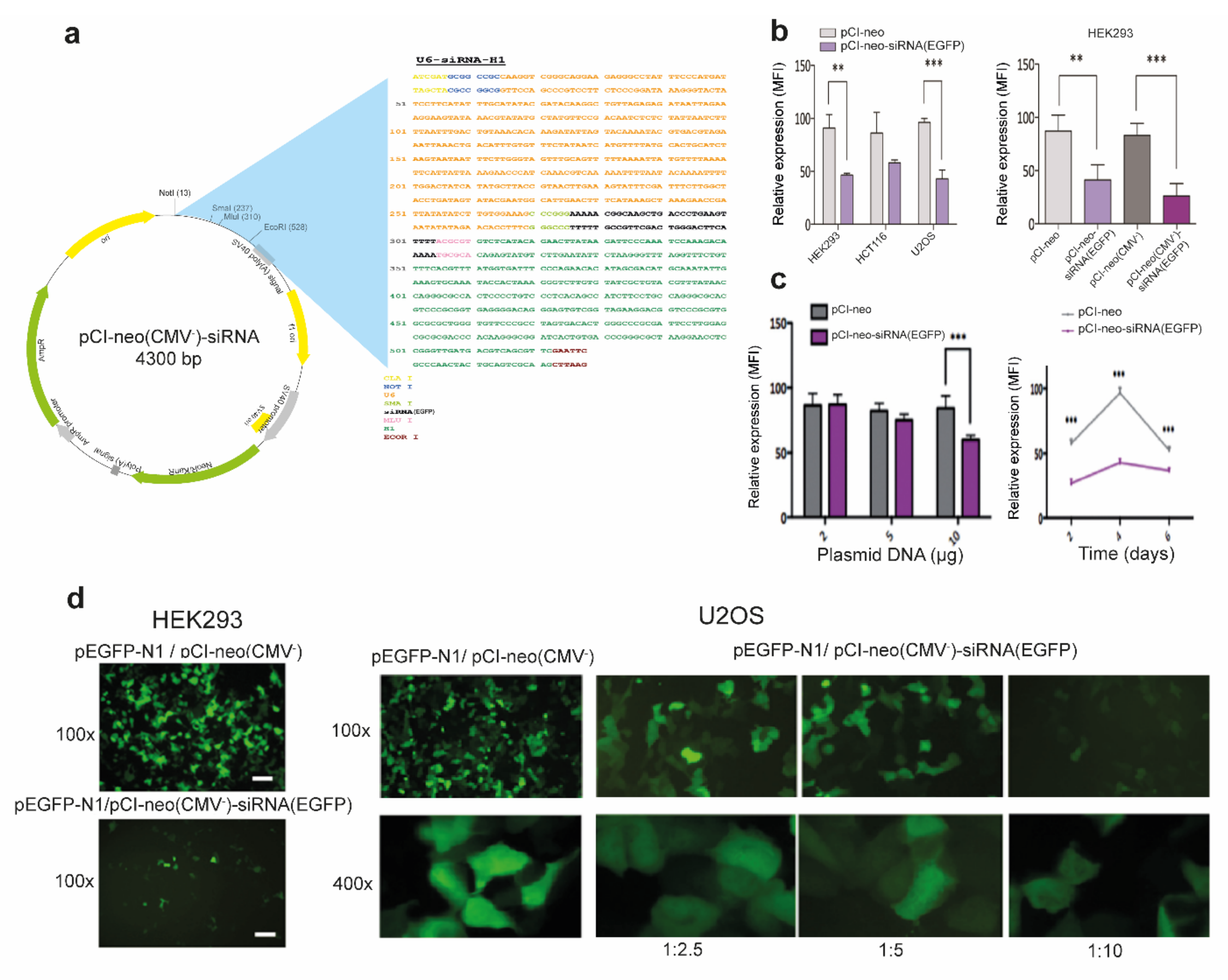 Antioxidants 10 01936 g001
