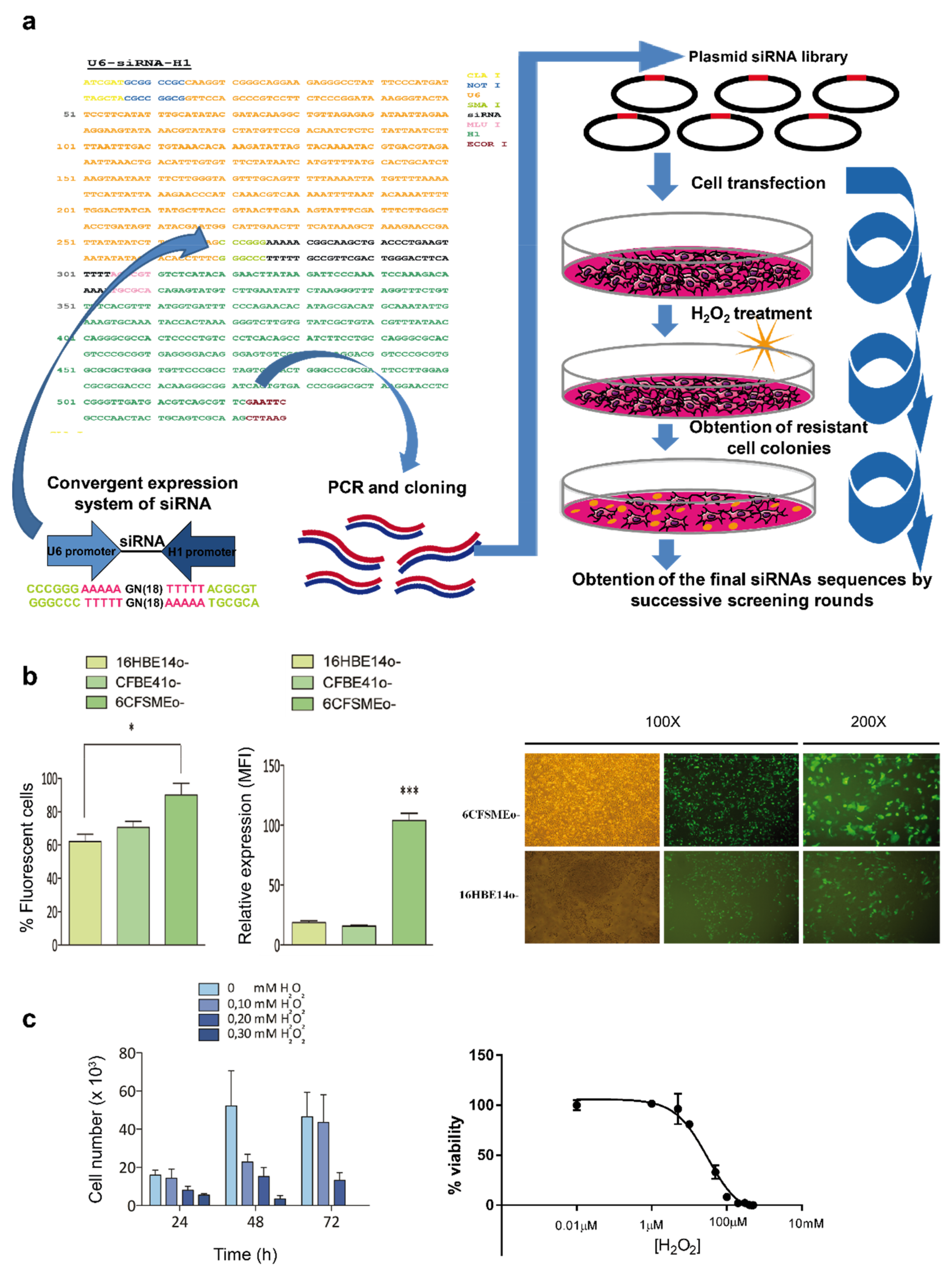 Antioxidants 10 01936 g002