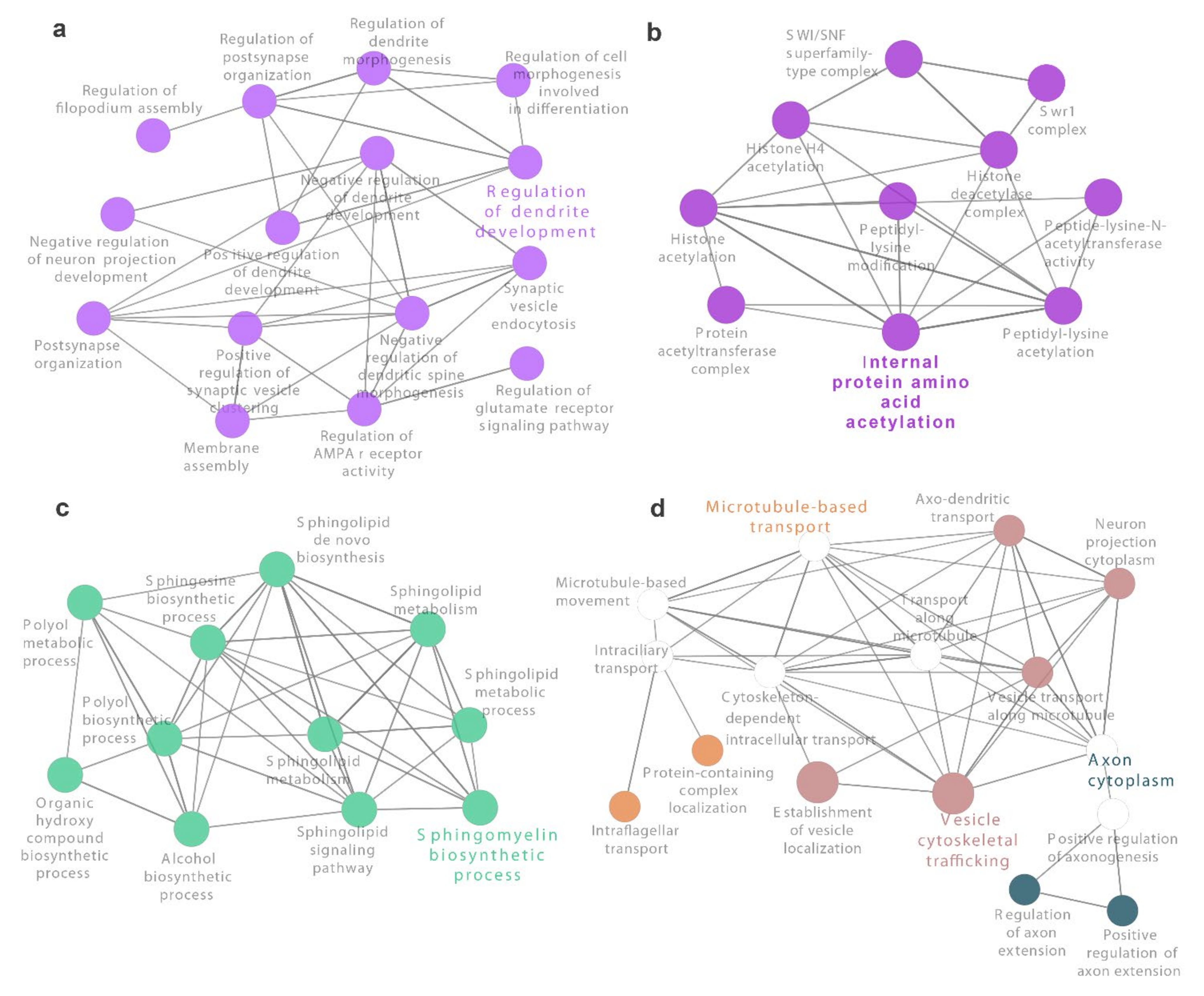Antioxidants 10 01936 g005