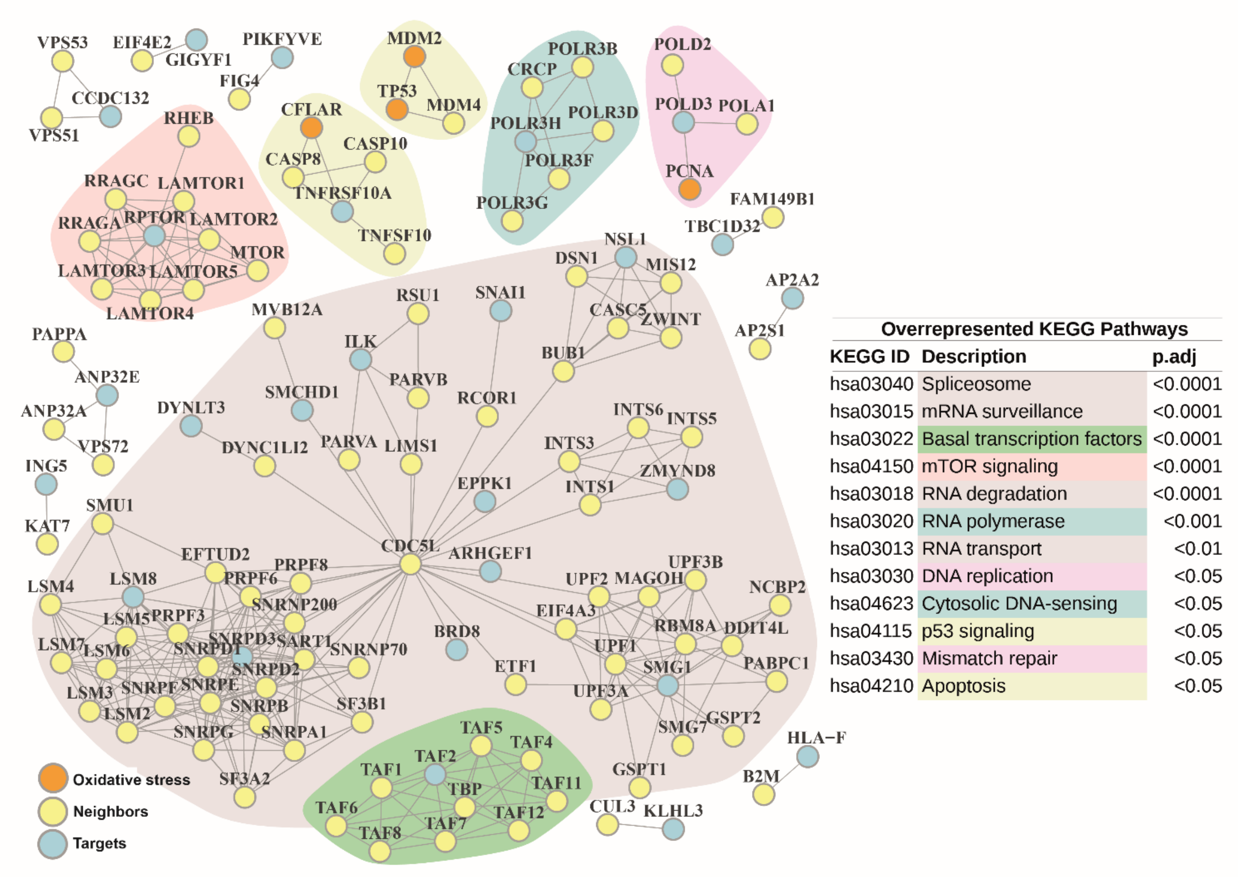 Antioxidants 10 01936 g006