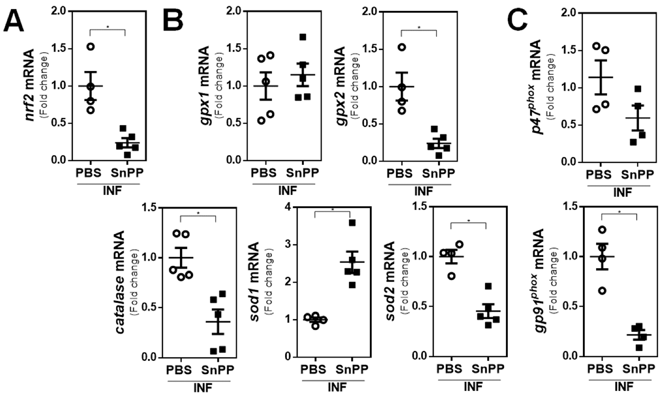 Antioxidants 10 01938 g005 Antioxidants 10 01938 g005