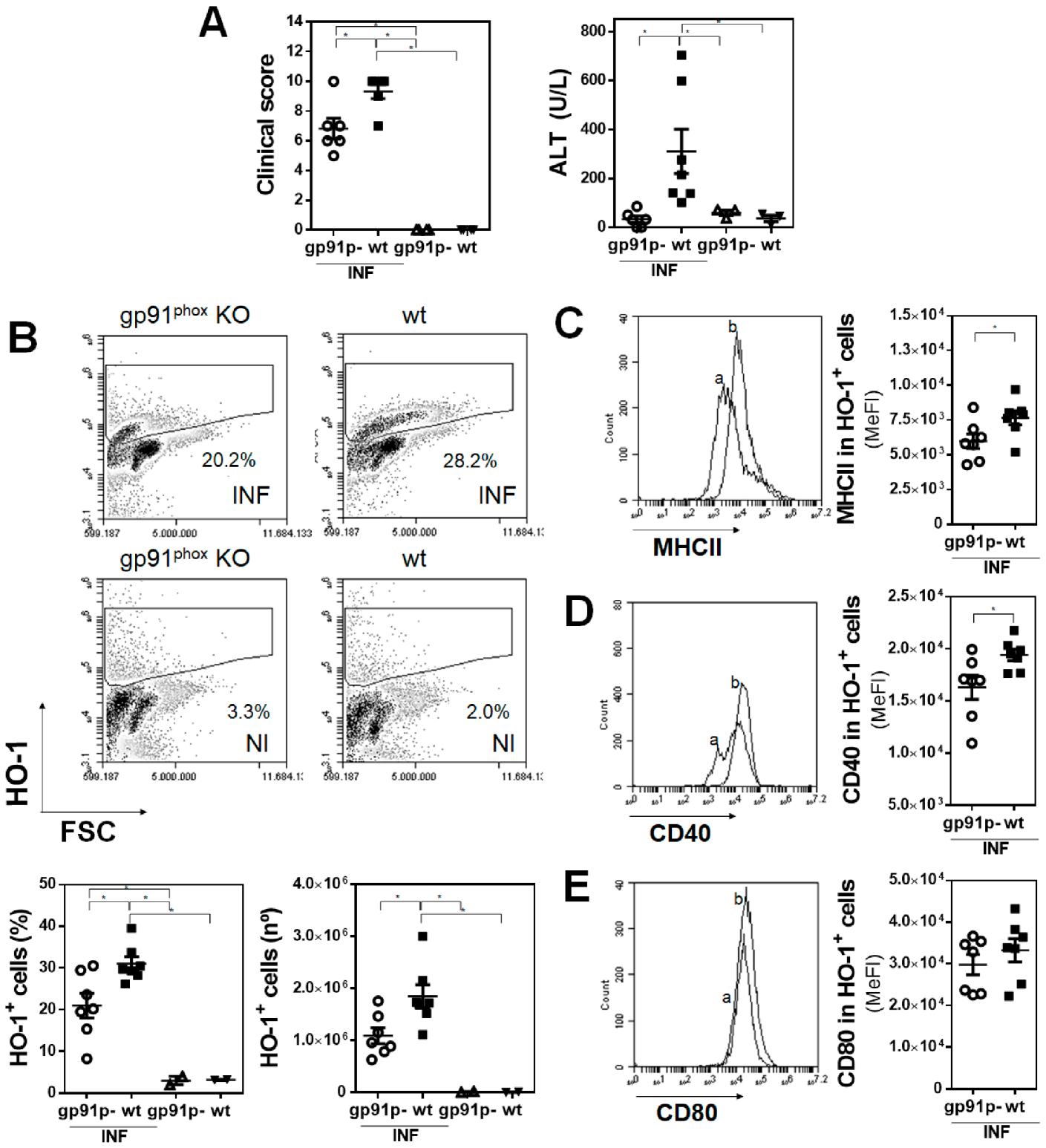 Antioxidants 10 01938 g006 Antioxidants 10 01938 g006