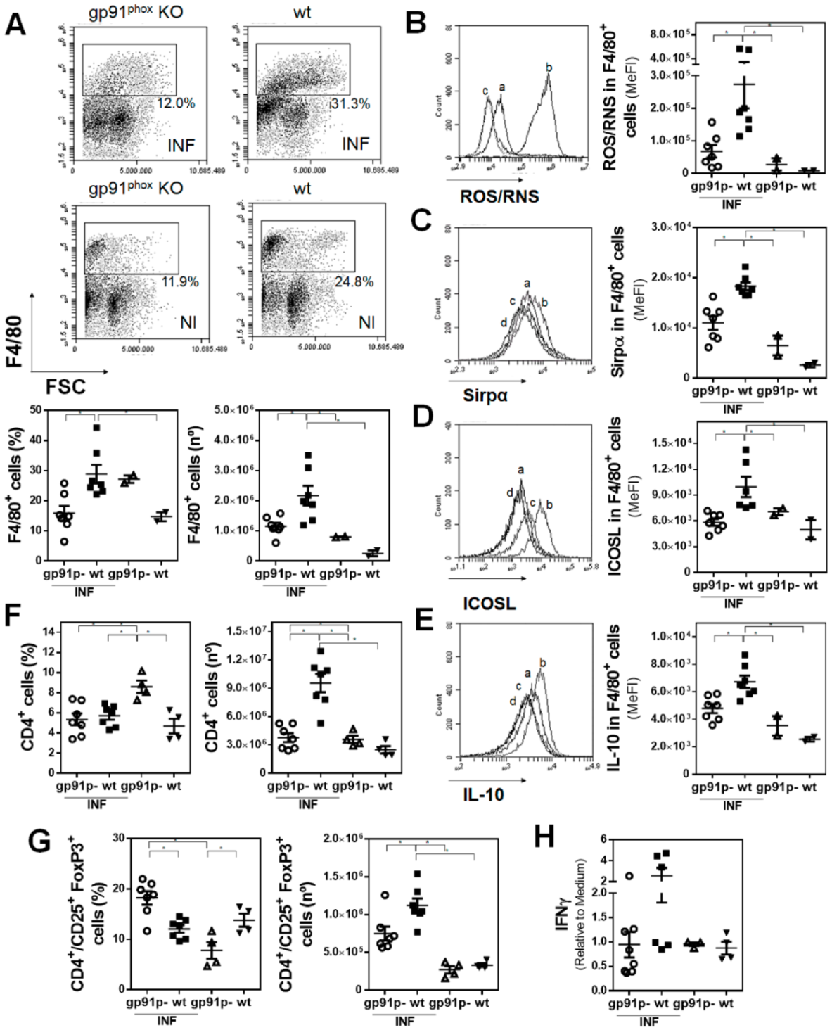 Antioxidants 10 01938 g007 Antioxidants 10 01938 g007