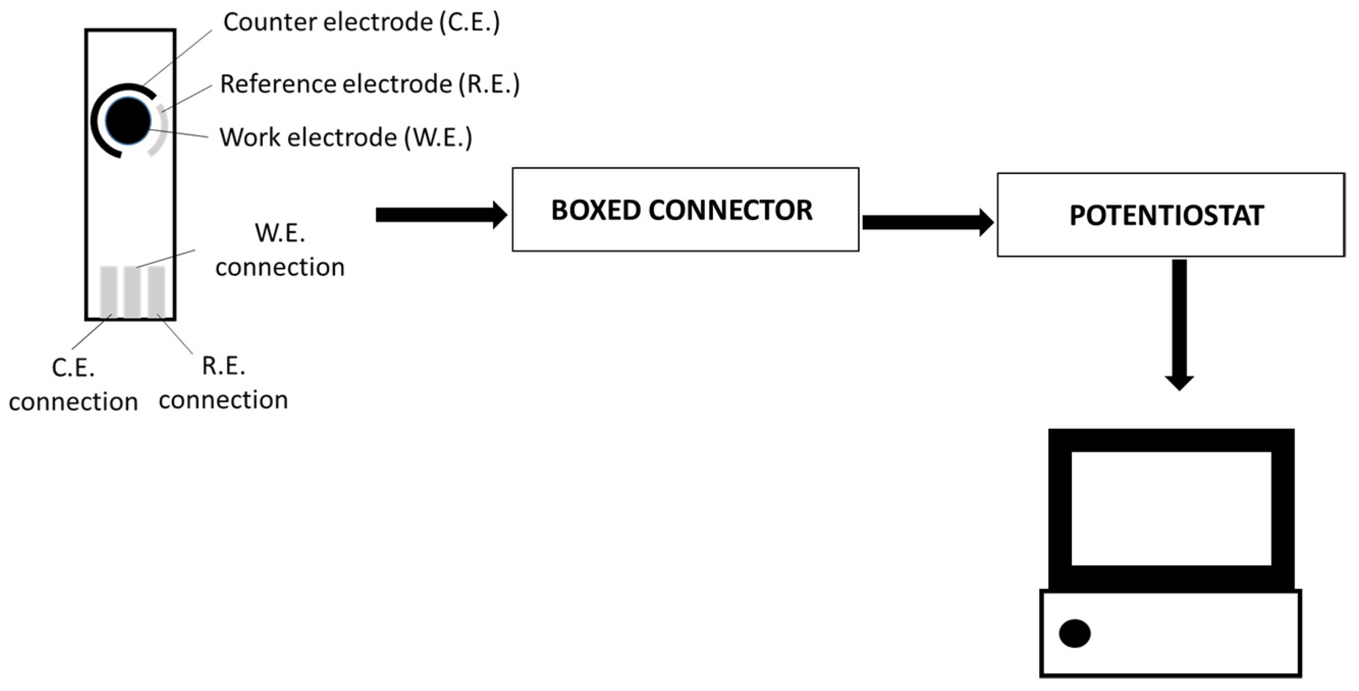 Antioxidants 10 01943 g001