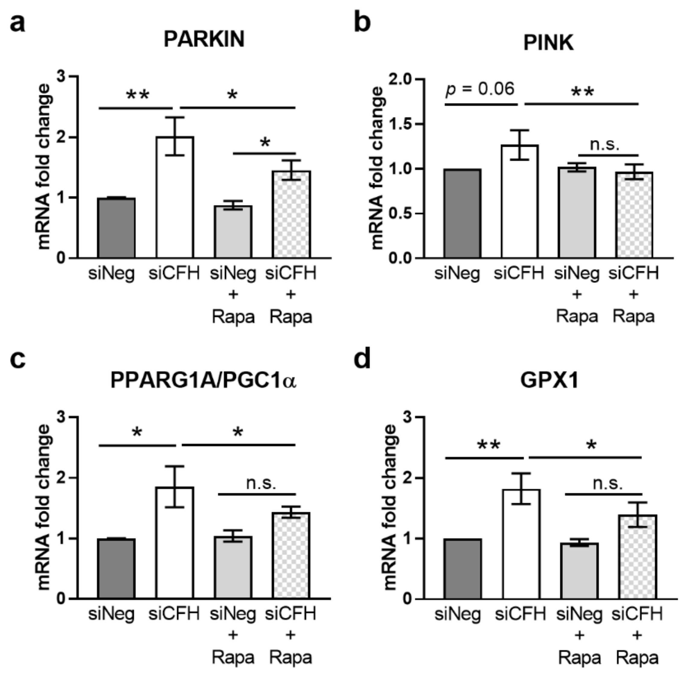 Antioxidants 10 01944 g003