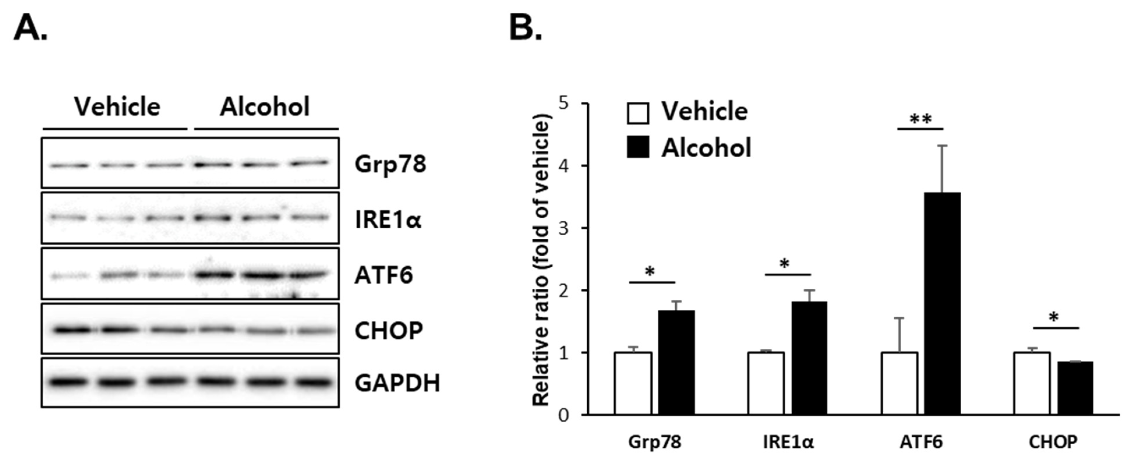 Antioxidants 10 01949 g005
