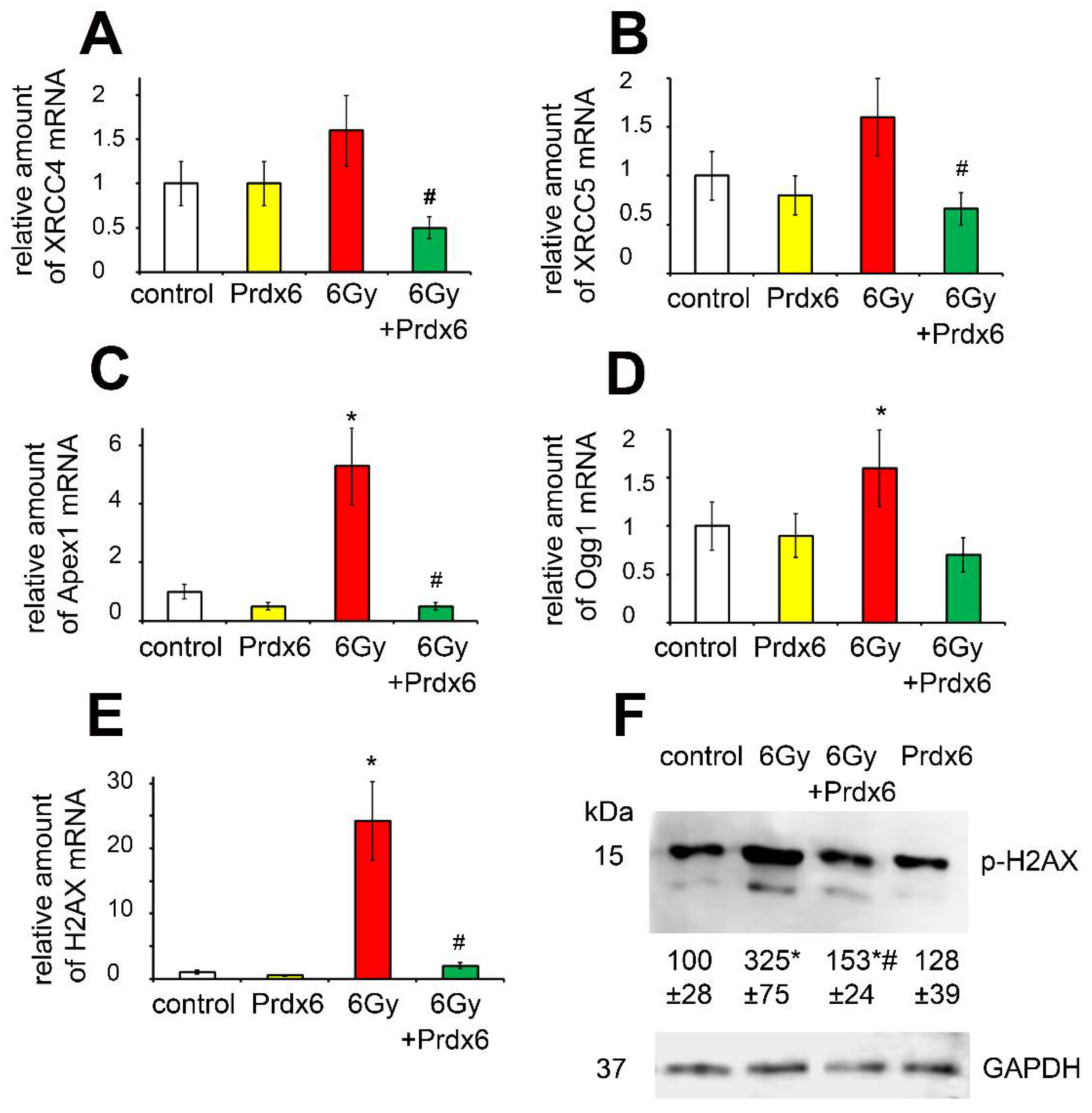 Antioxidants 10 01951 g006