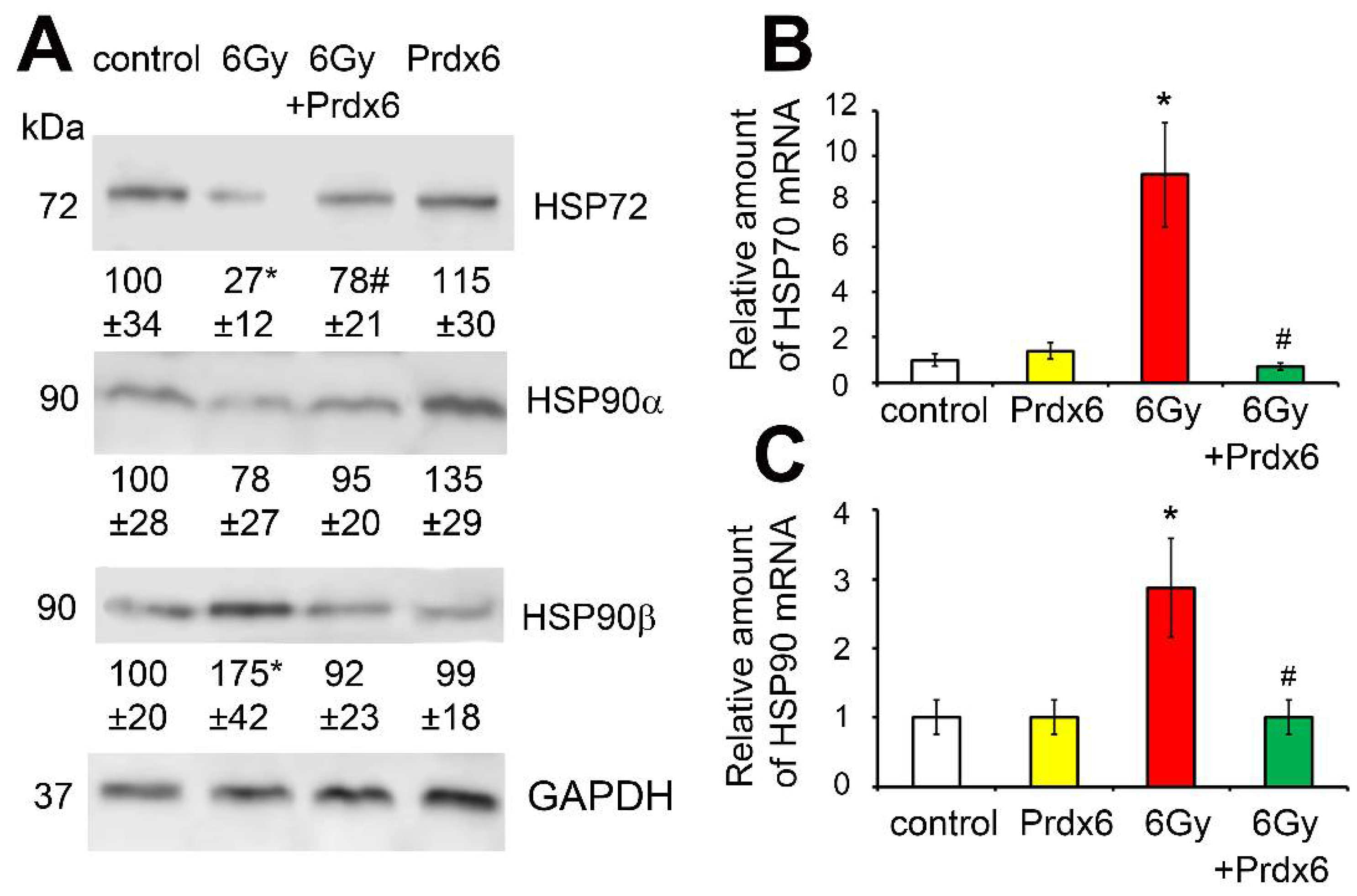 Antioxidants 10 01951 g007