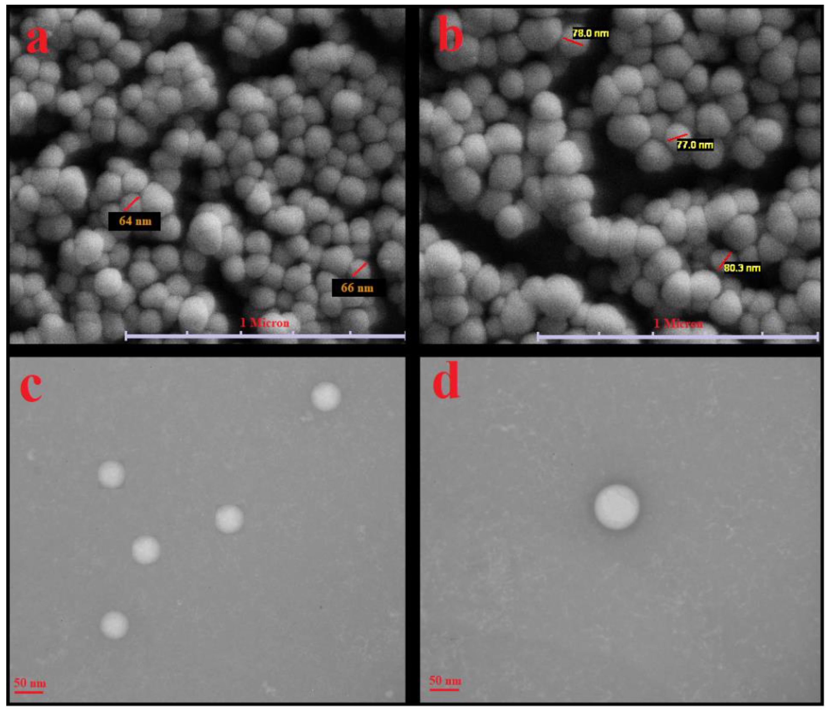 Antioxidants 10 01953 g002 550