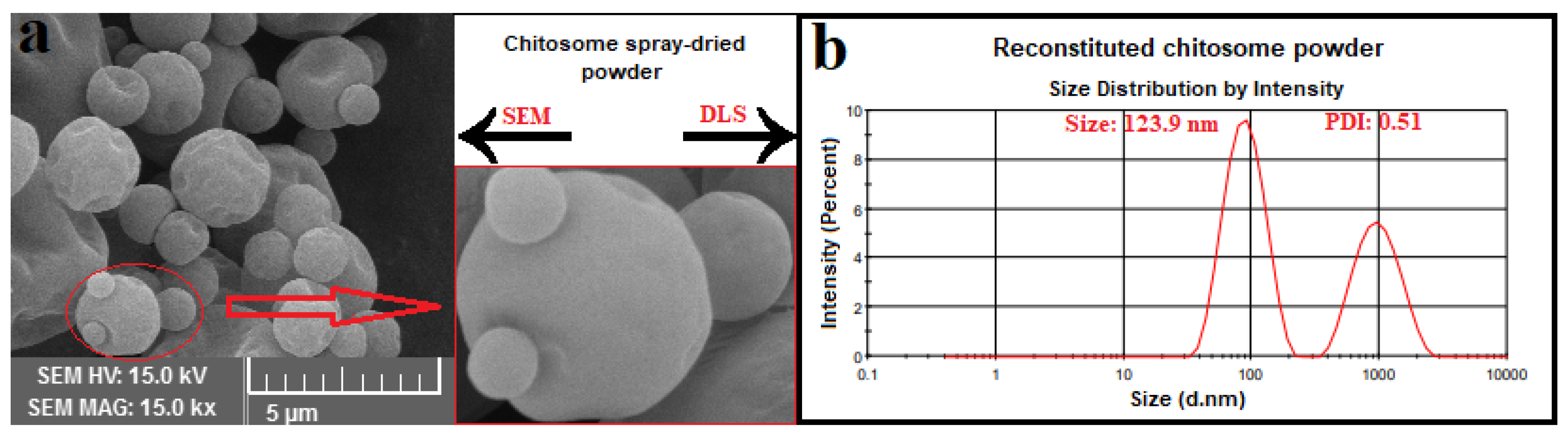 Antioxidants 10 01953 g004 550