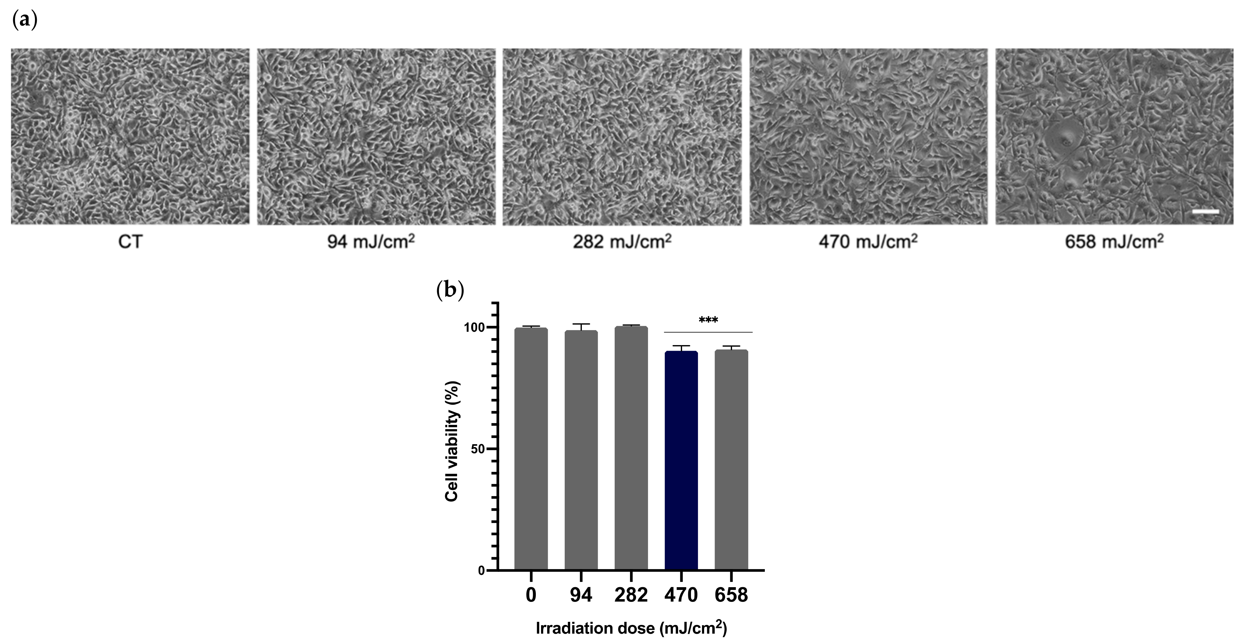 Antioxidants 10 01961 g002 Antioxidants 10 01961 g002