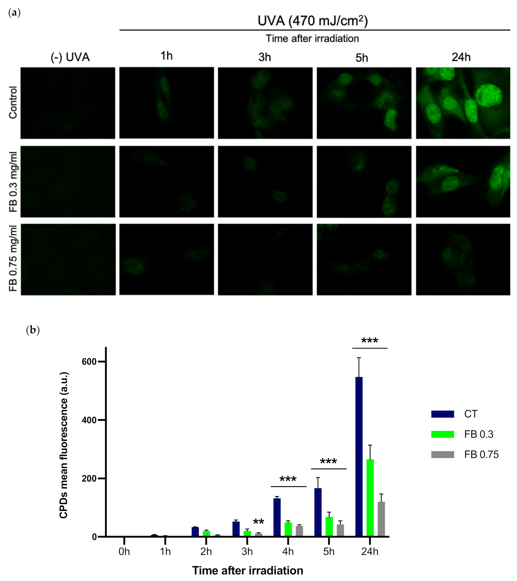 Antioxidants 10 01961 g004 Antioxidants 10 01961 g004