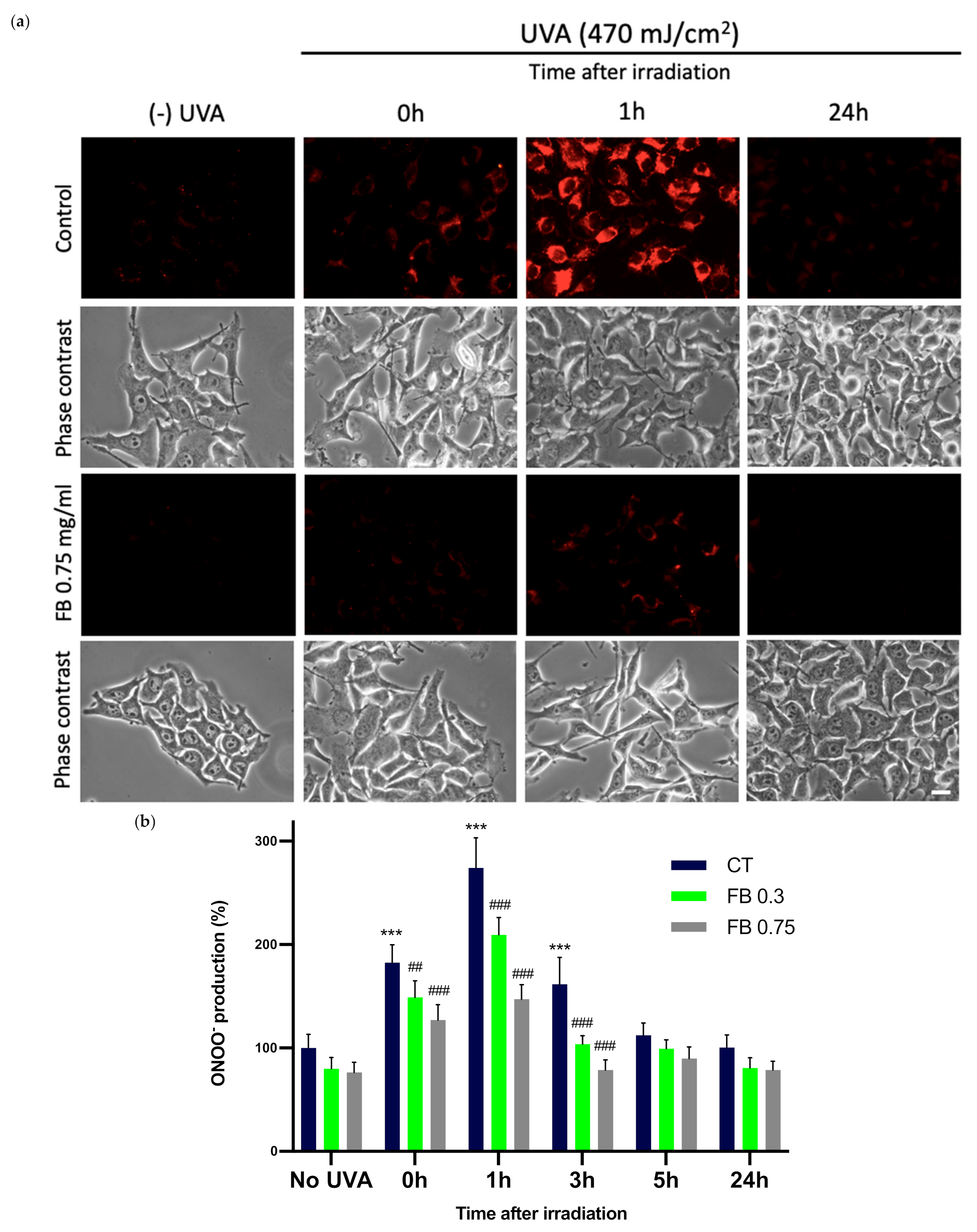 Antioxidants 10 01961 g007 Antioxidants 10 01961 g007
