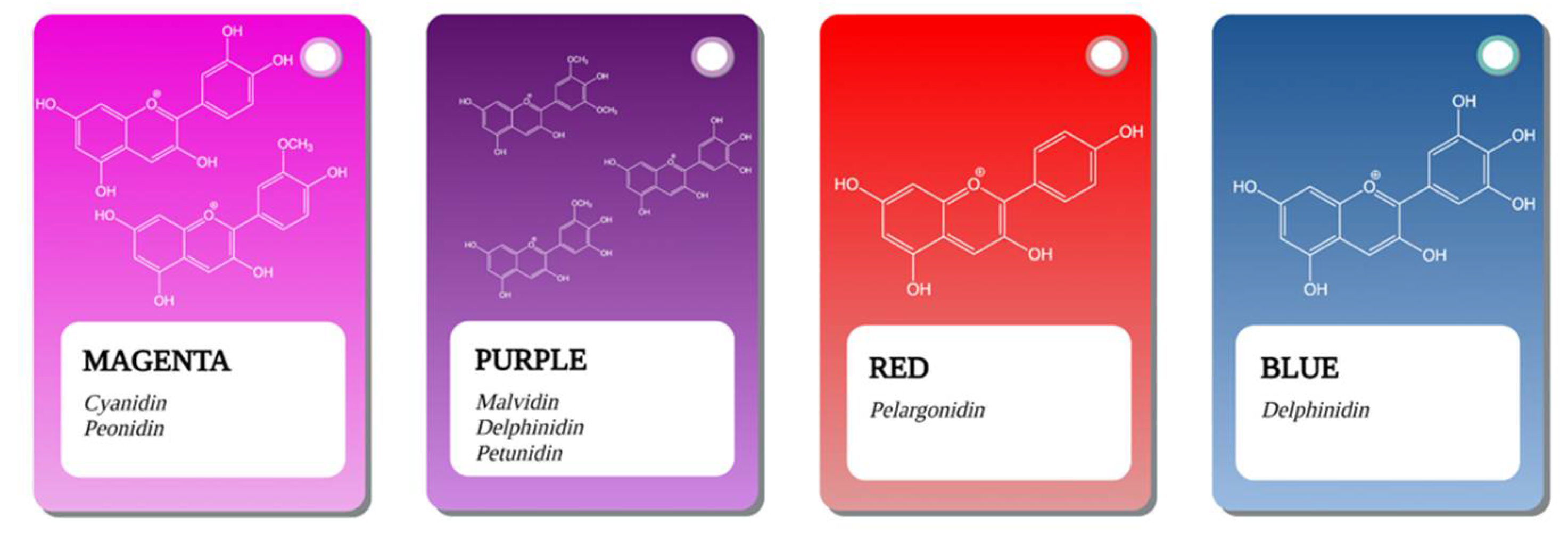 Antioxidants 10 01967 g001 550