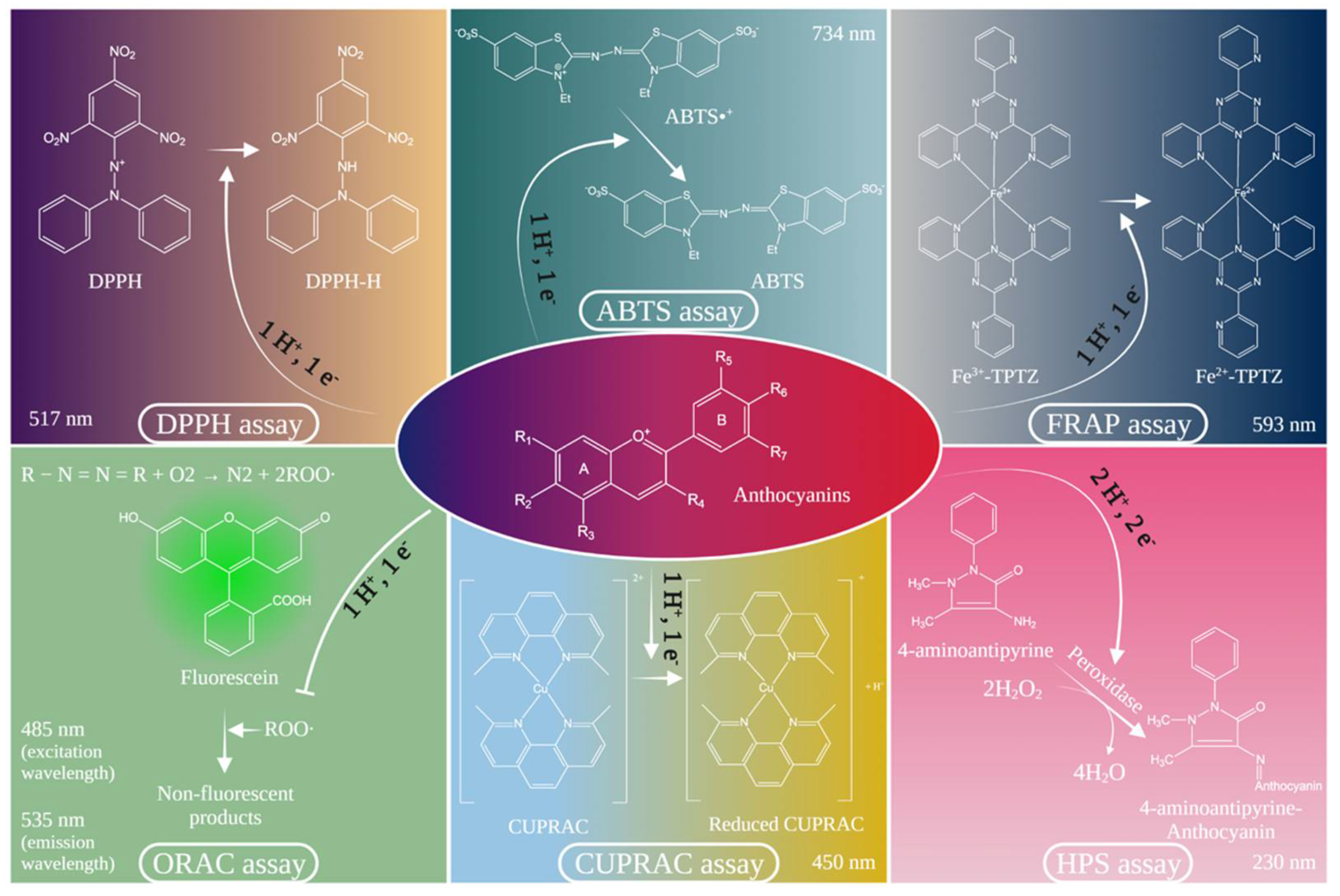 Antioxidants 10 01967 g003 550