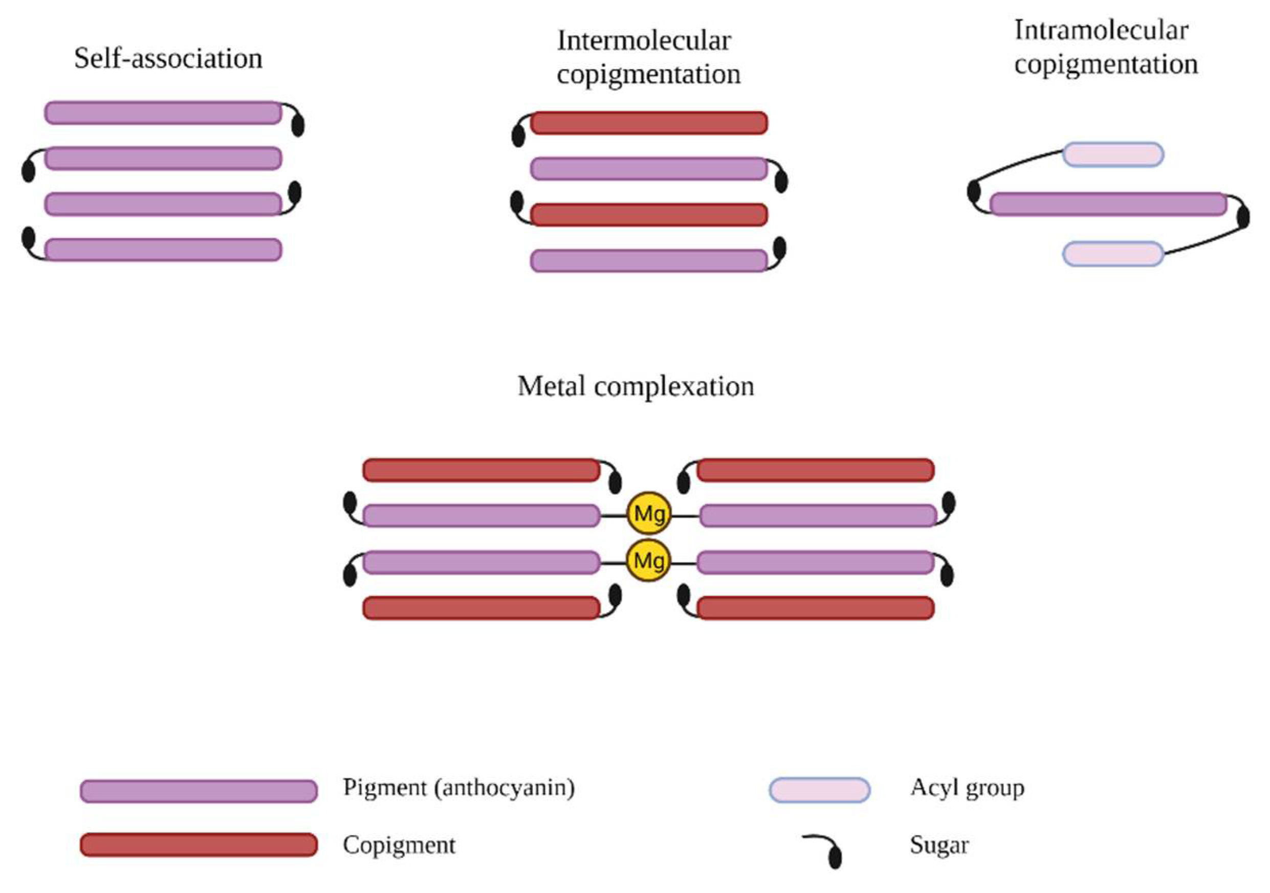 Antioxidants 10 01967 g005 550