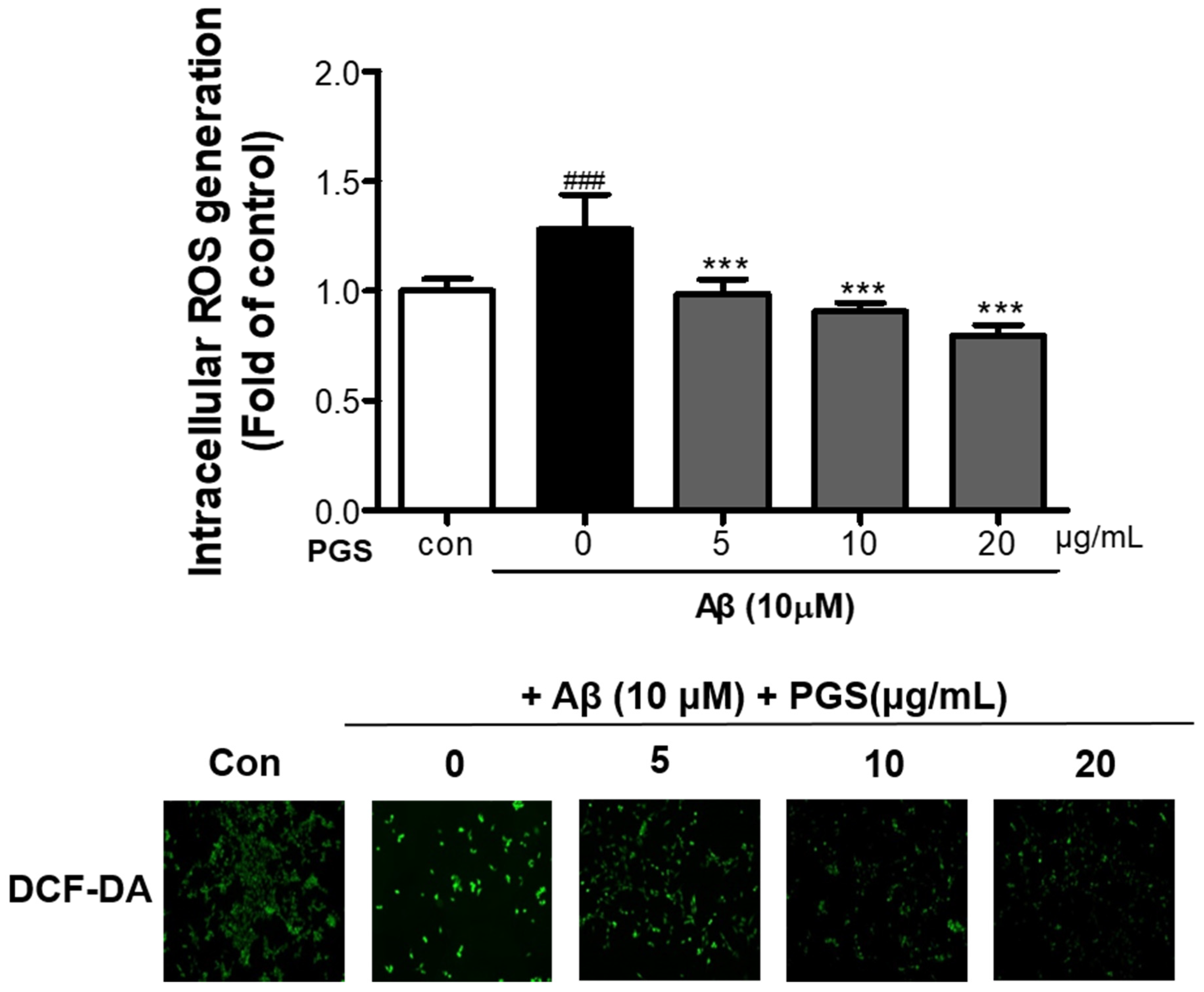 Antioxidants 10 01968 g003 550