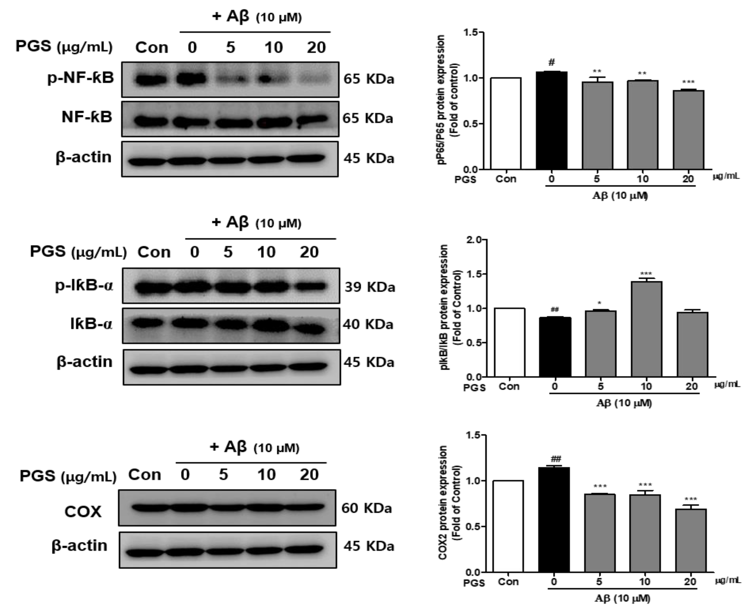 Antioxidants 10 01968 g005 550