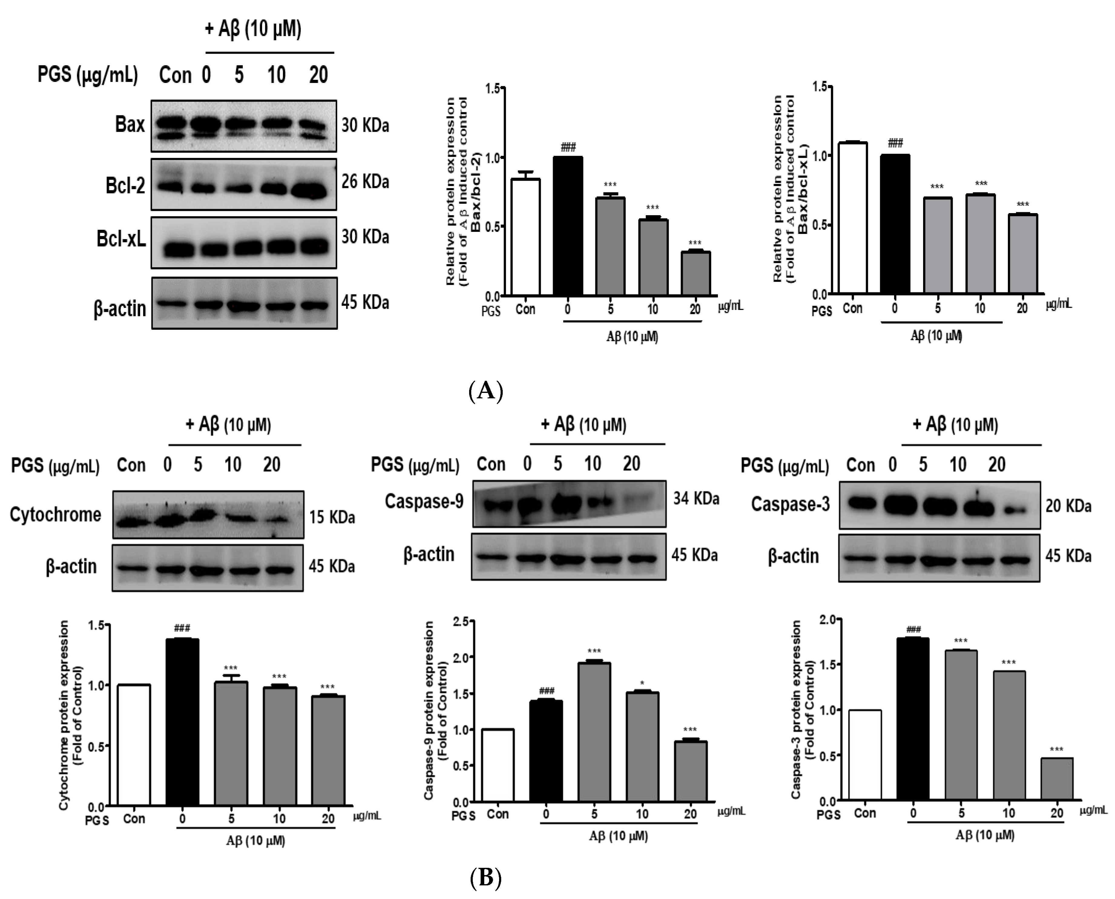 Antioxidants 10 01968 g006 550