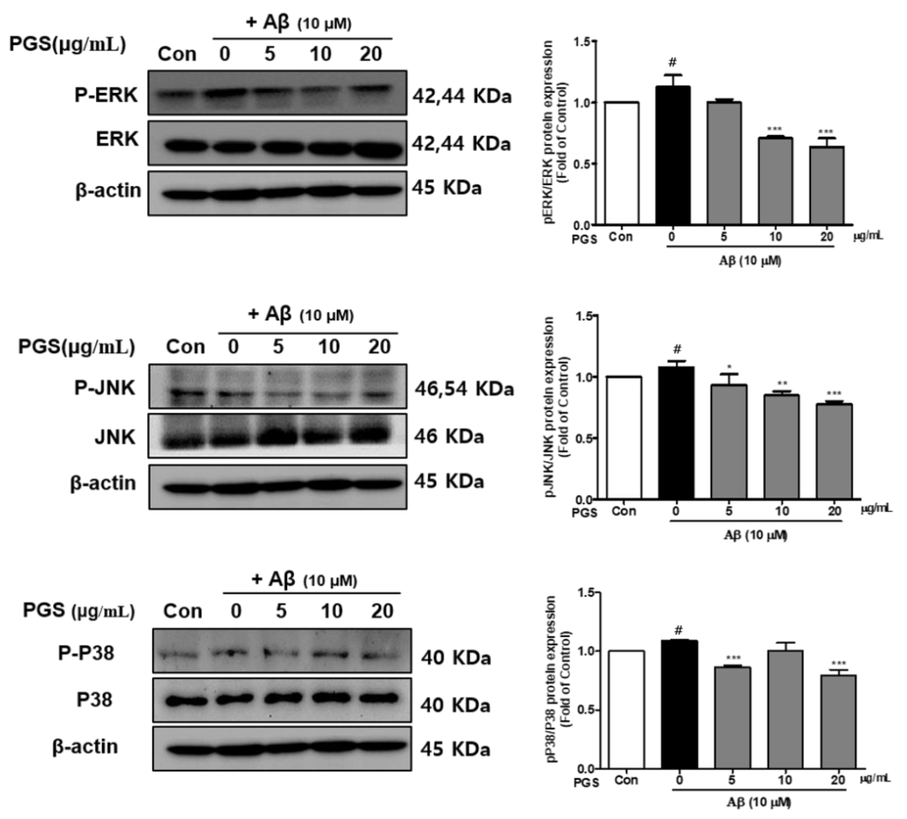 Antioxidants 10 01968 g007 550