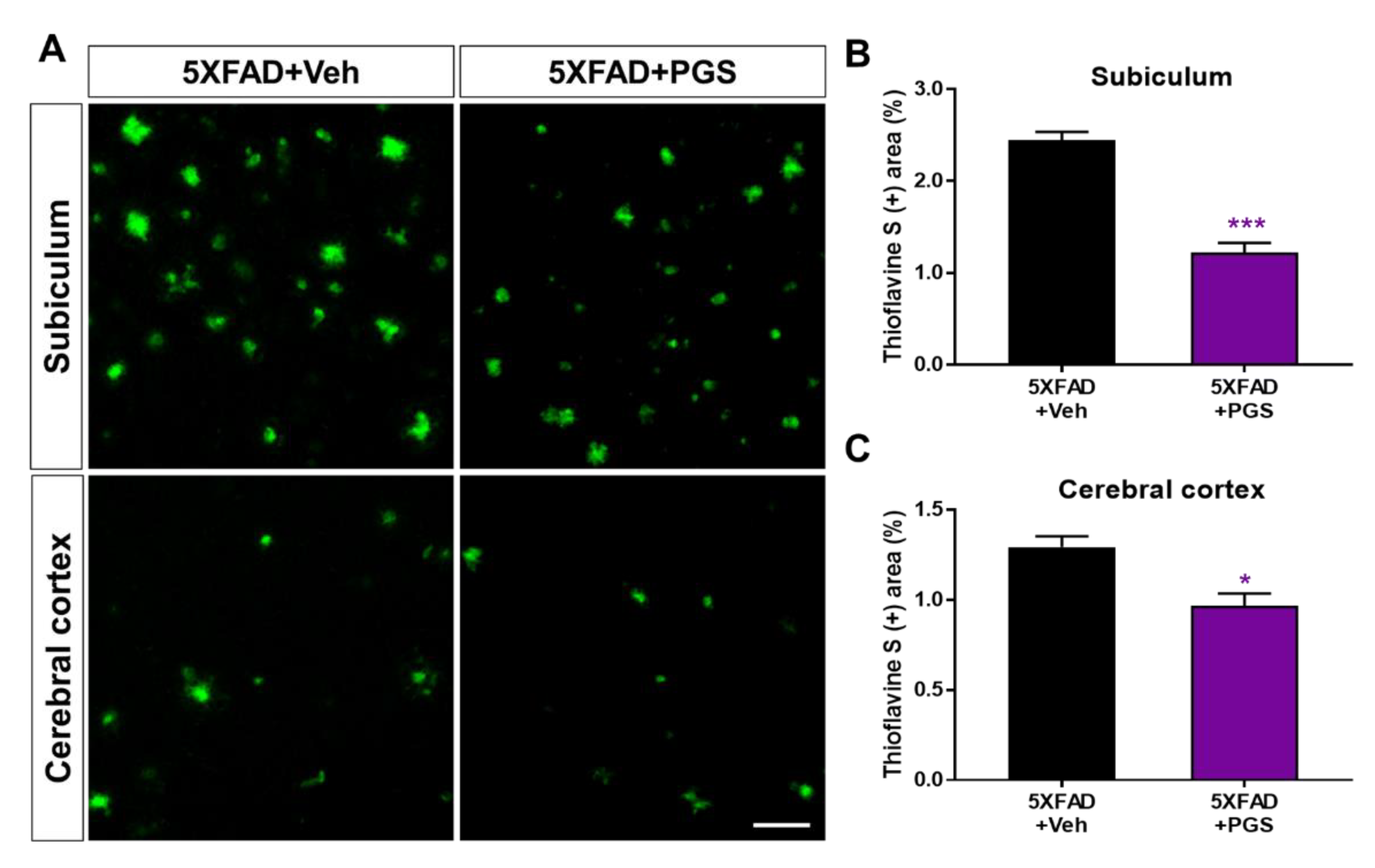 Antioxidants 10 01968 g008 550