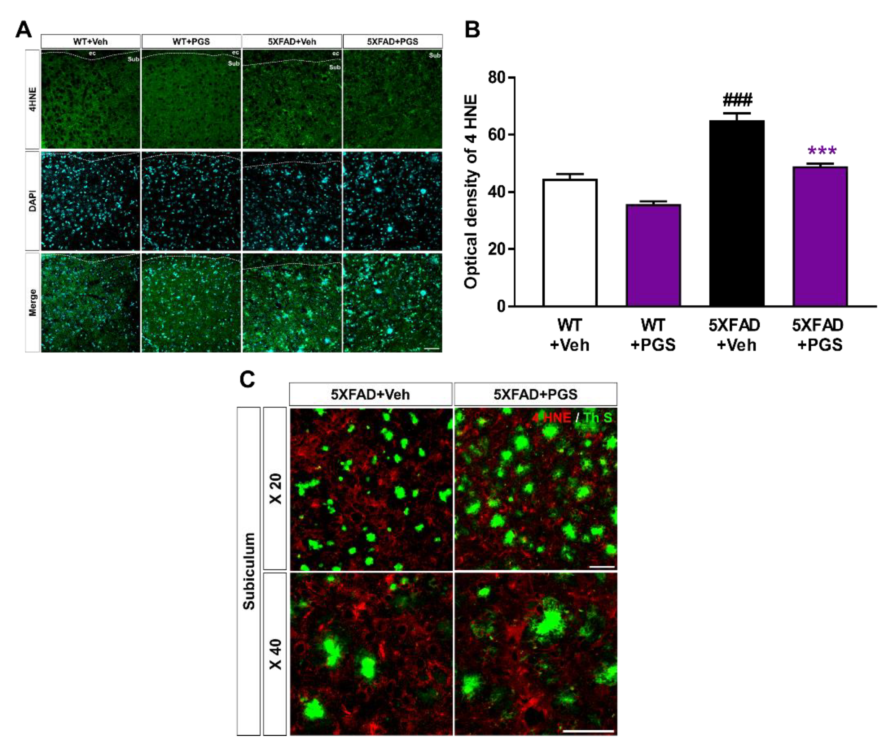 Antioxidants 10 01968 g009 550