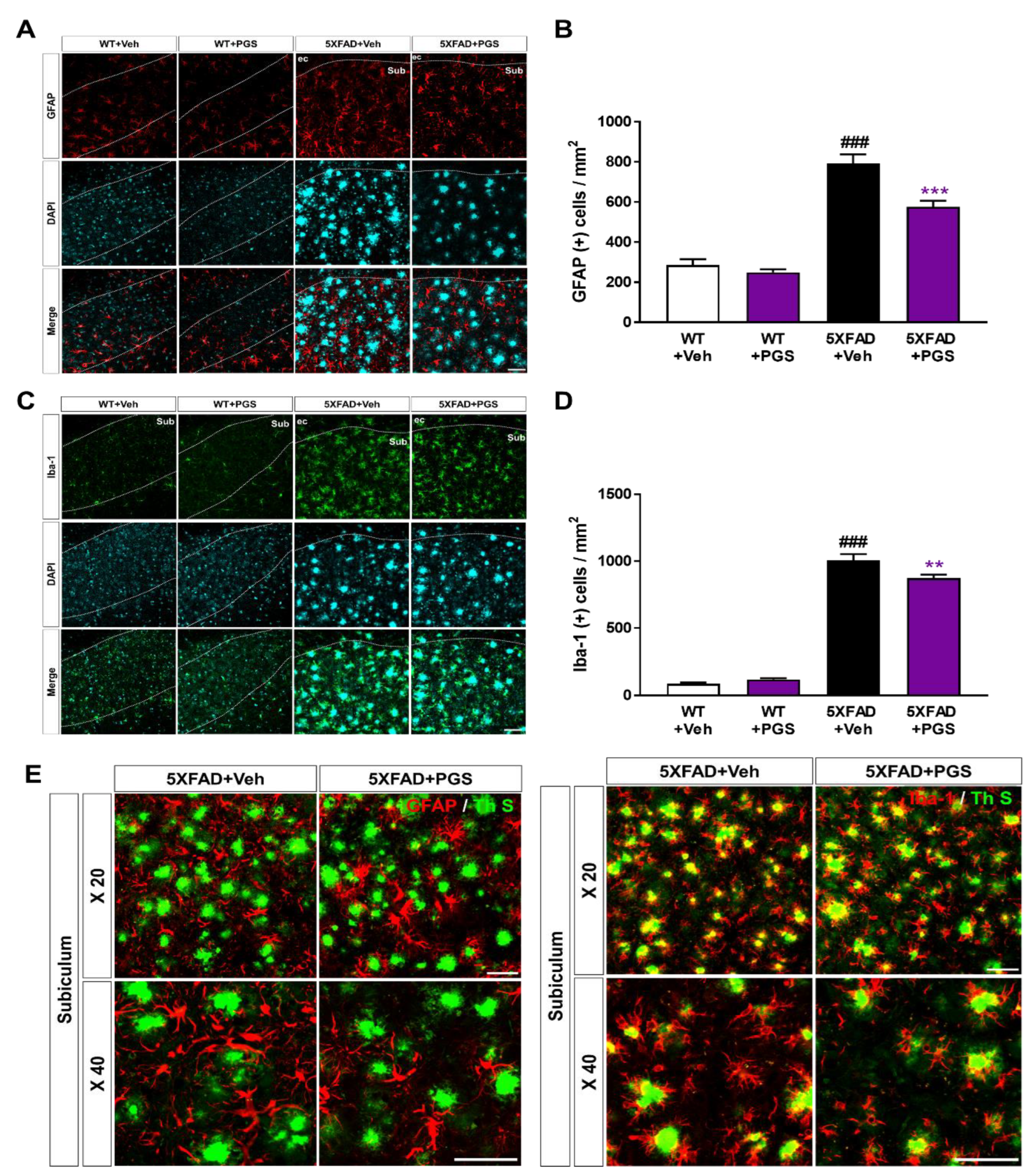 Antioxidants 10 01968 g010 550