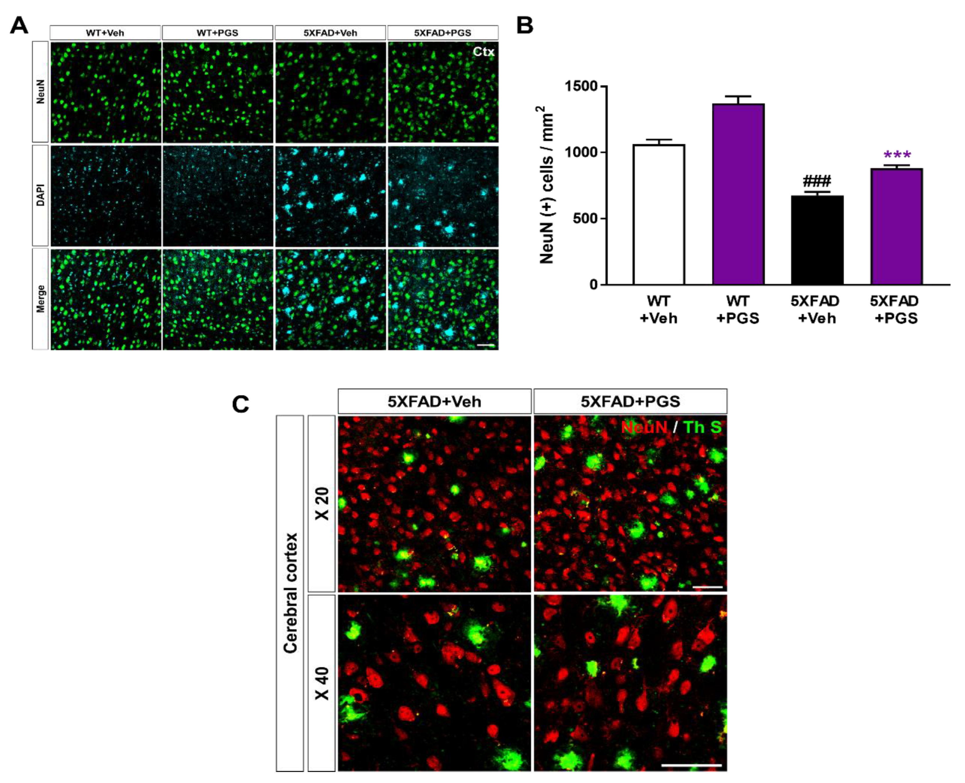 Antioxidants 10 01968 g011 550