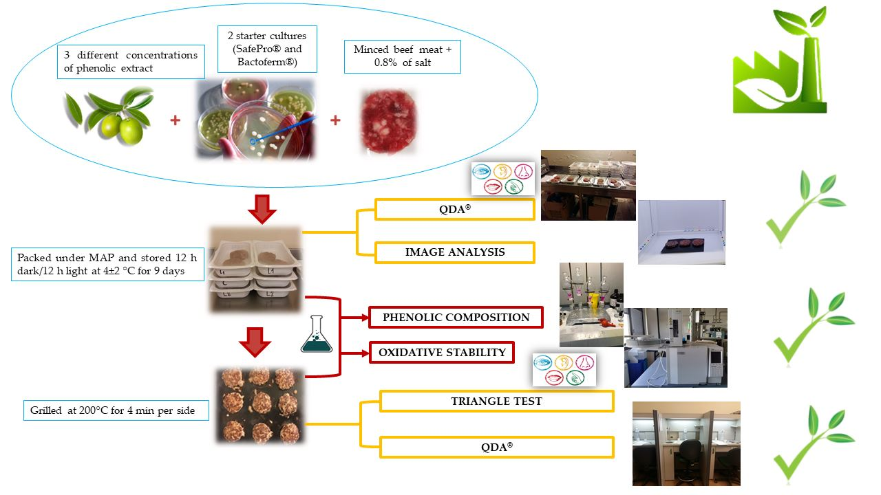 Antioxidants Free FullText Improved Oxidative Stability and