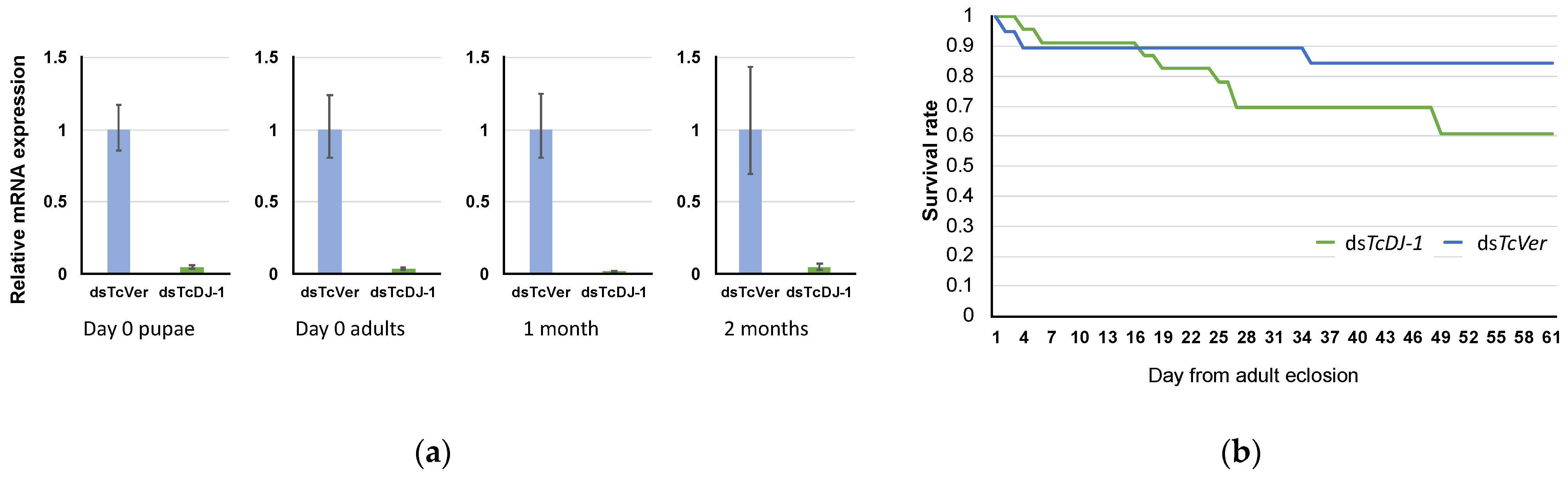 Antioxidants 10 01970 g003