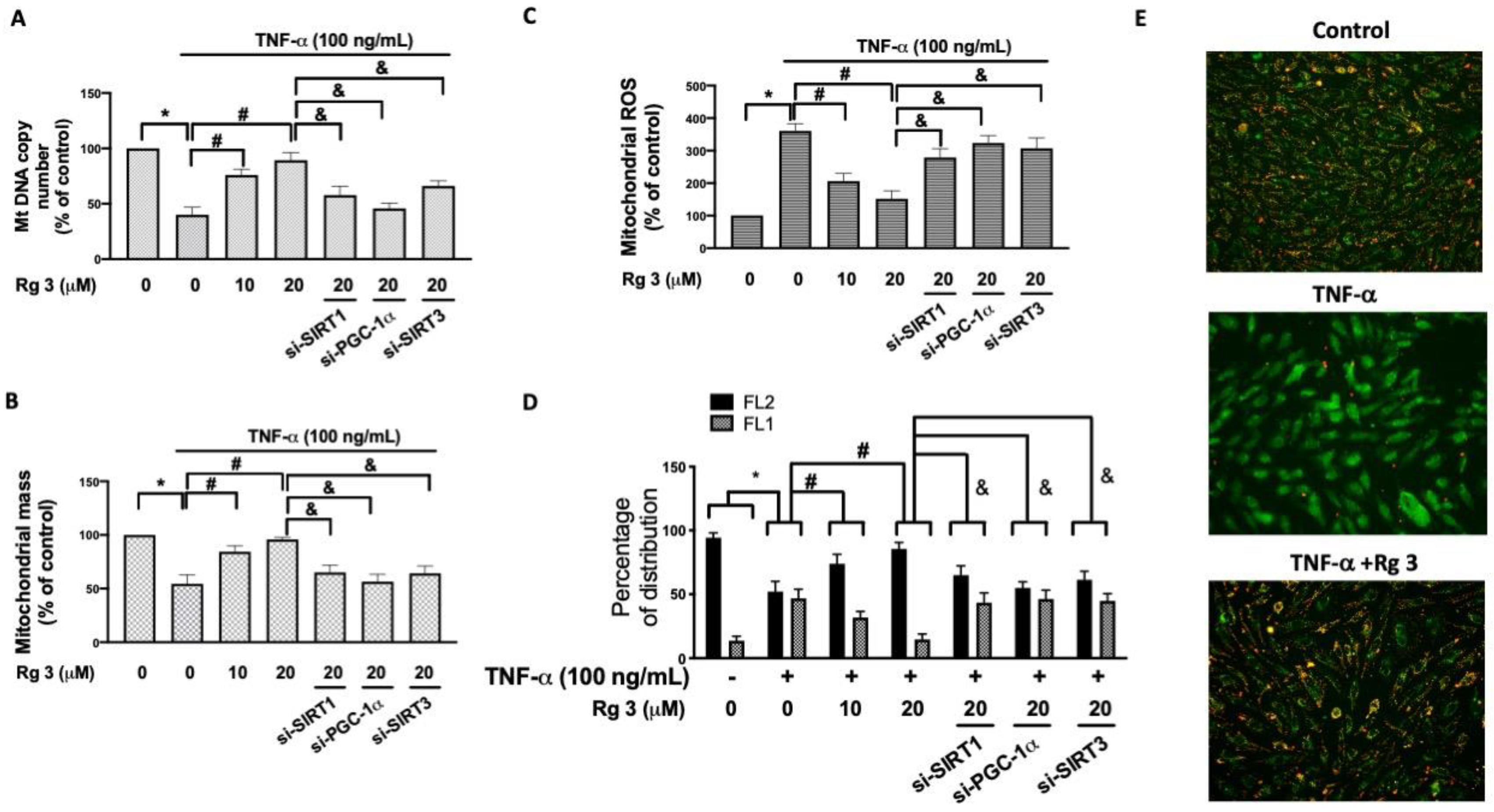 Antioxidants 10 01972 g003