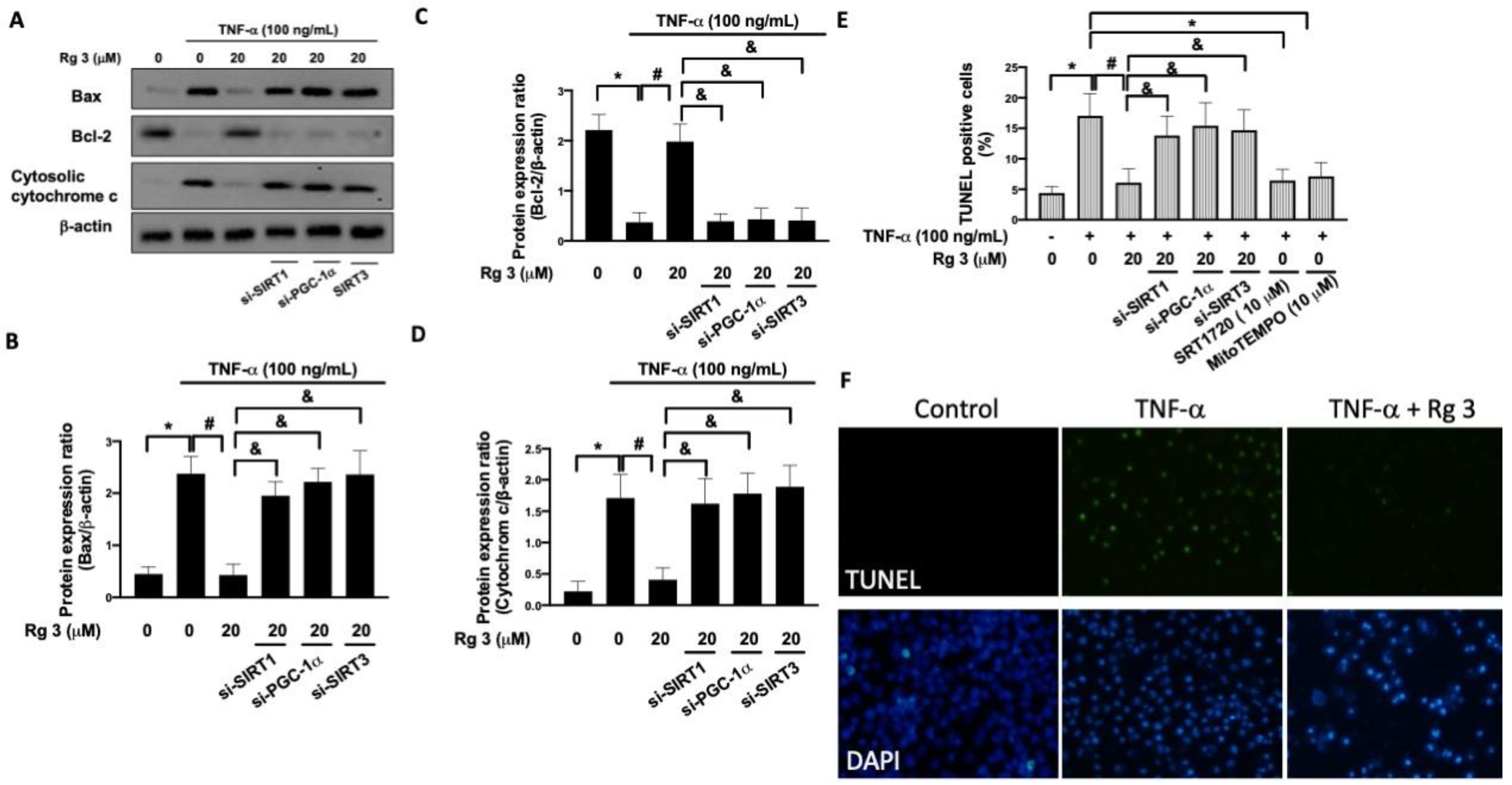 Antioxidants 10 01972 g004