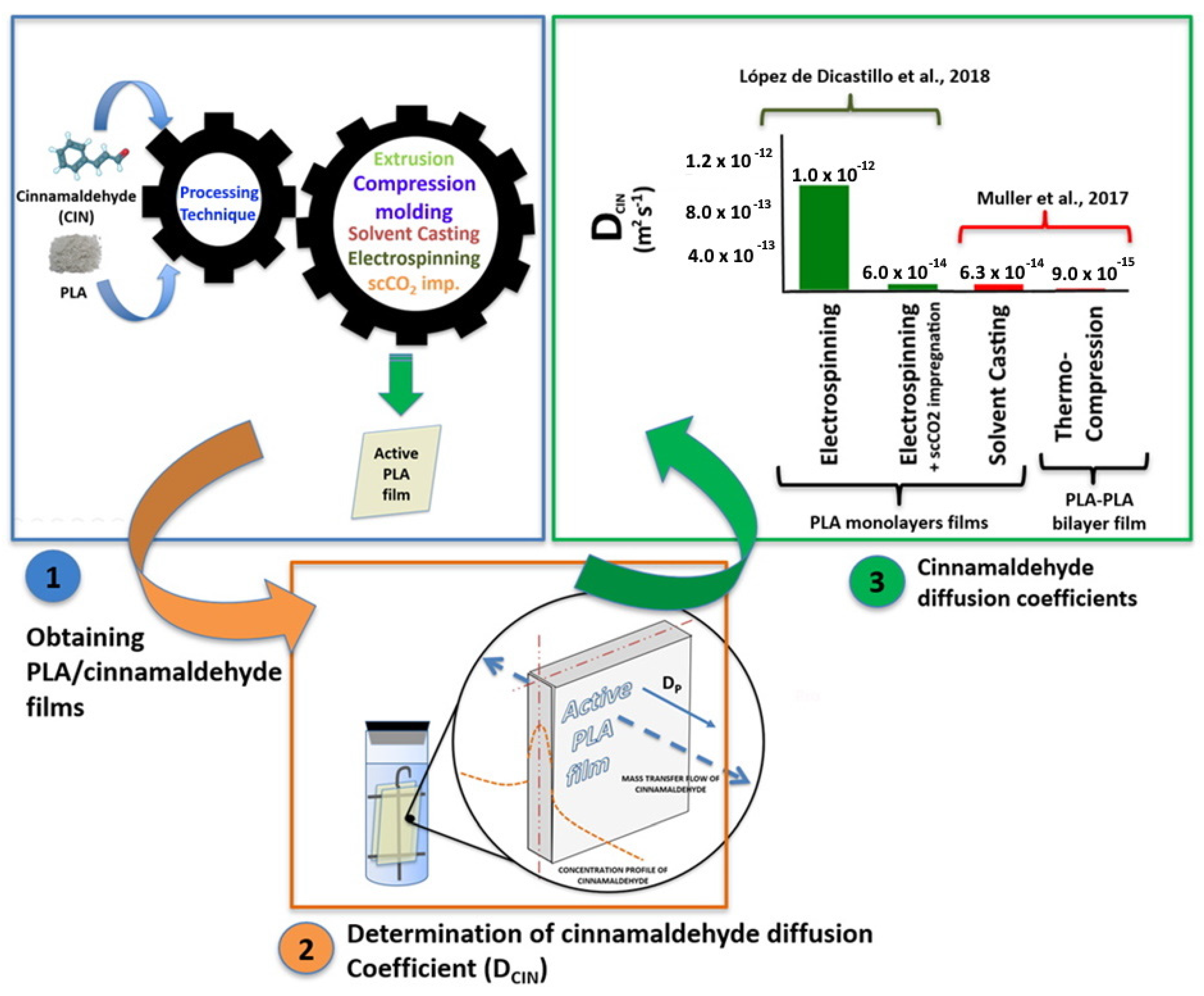 Antioxidants 10 01976 g002
