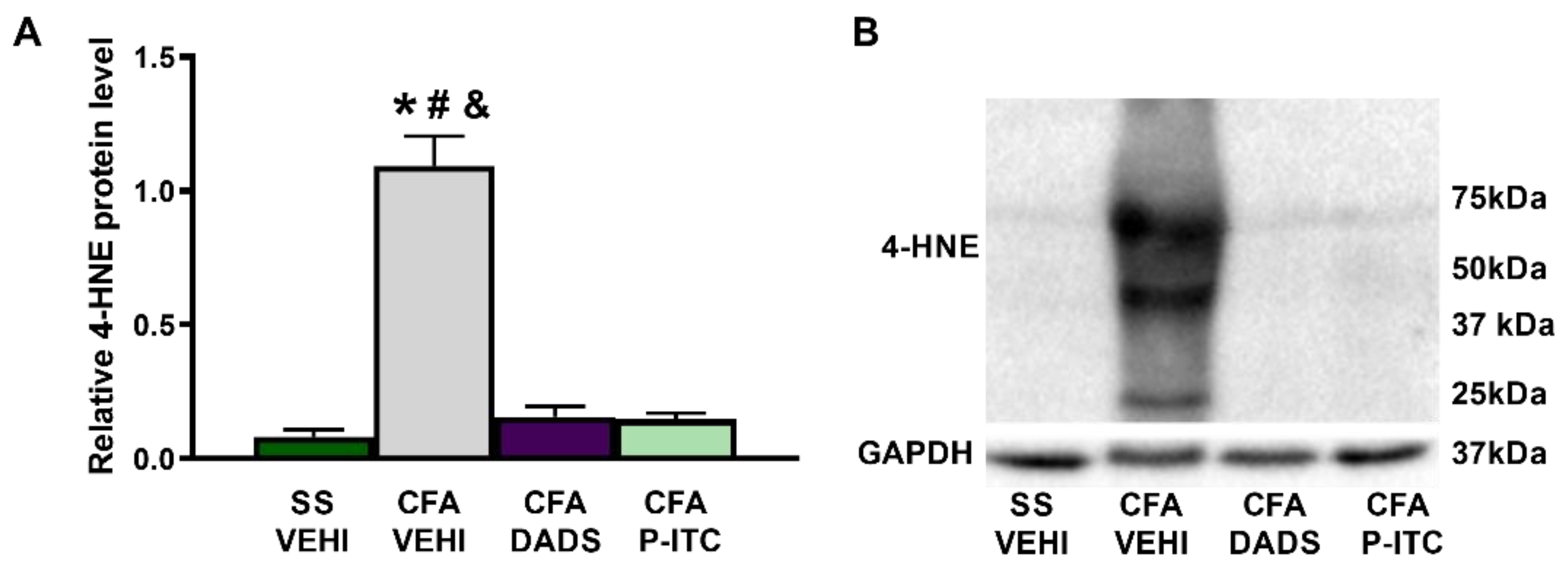 Antioxidants 10 01977 g004 550