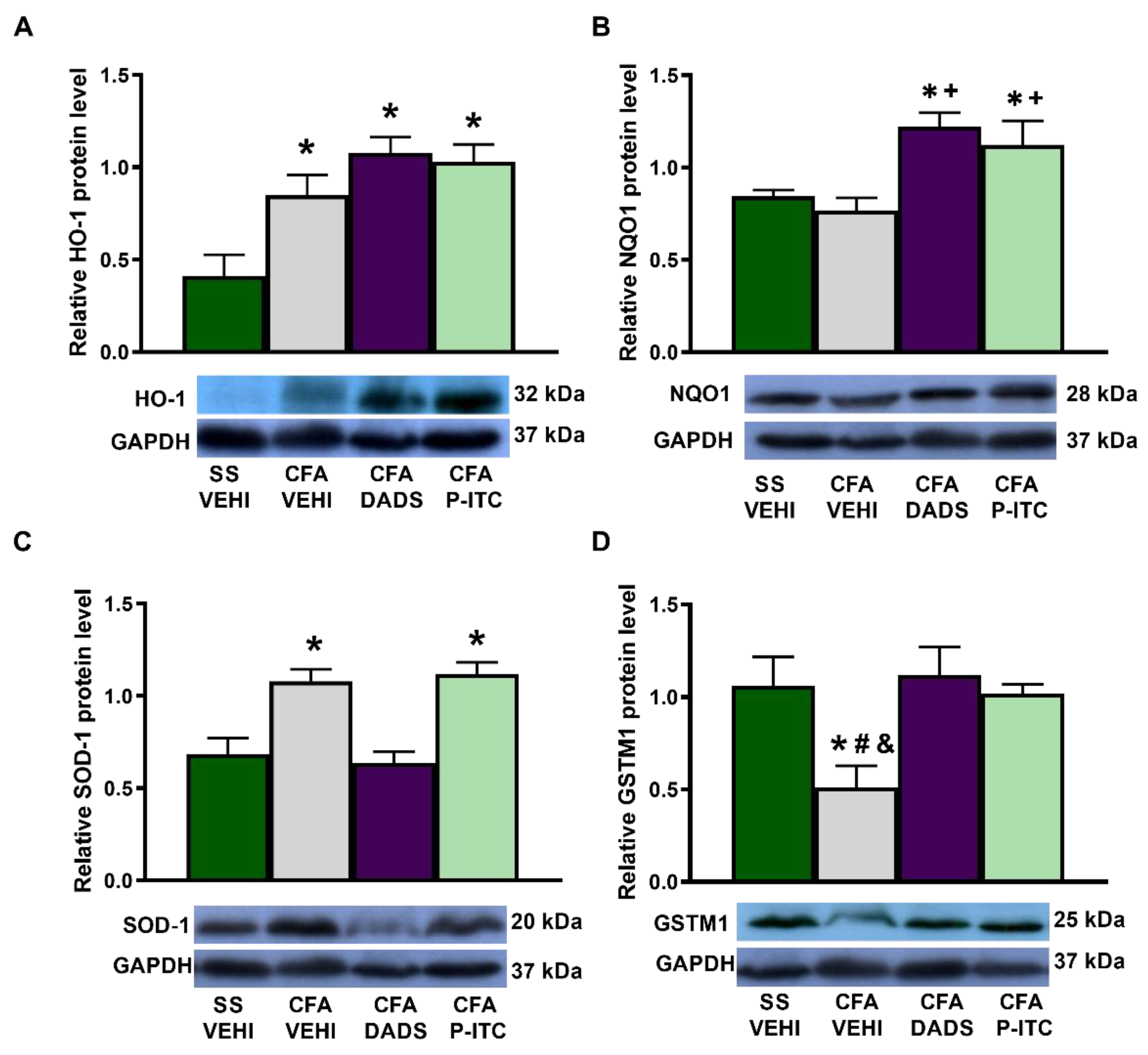 Antioxidants 10 01977 g005 550